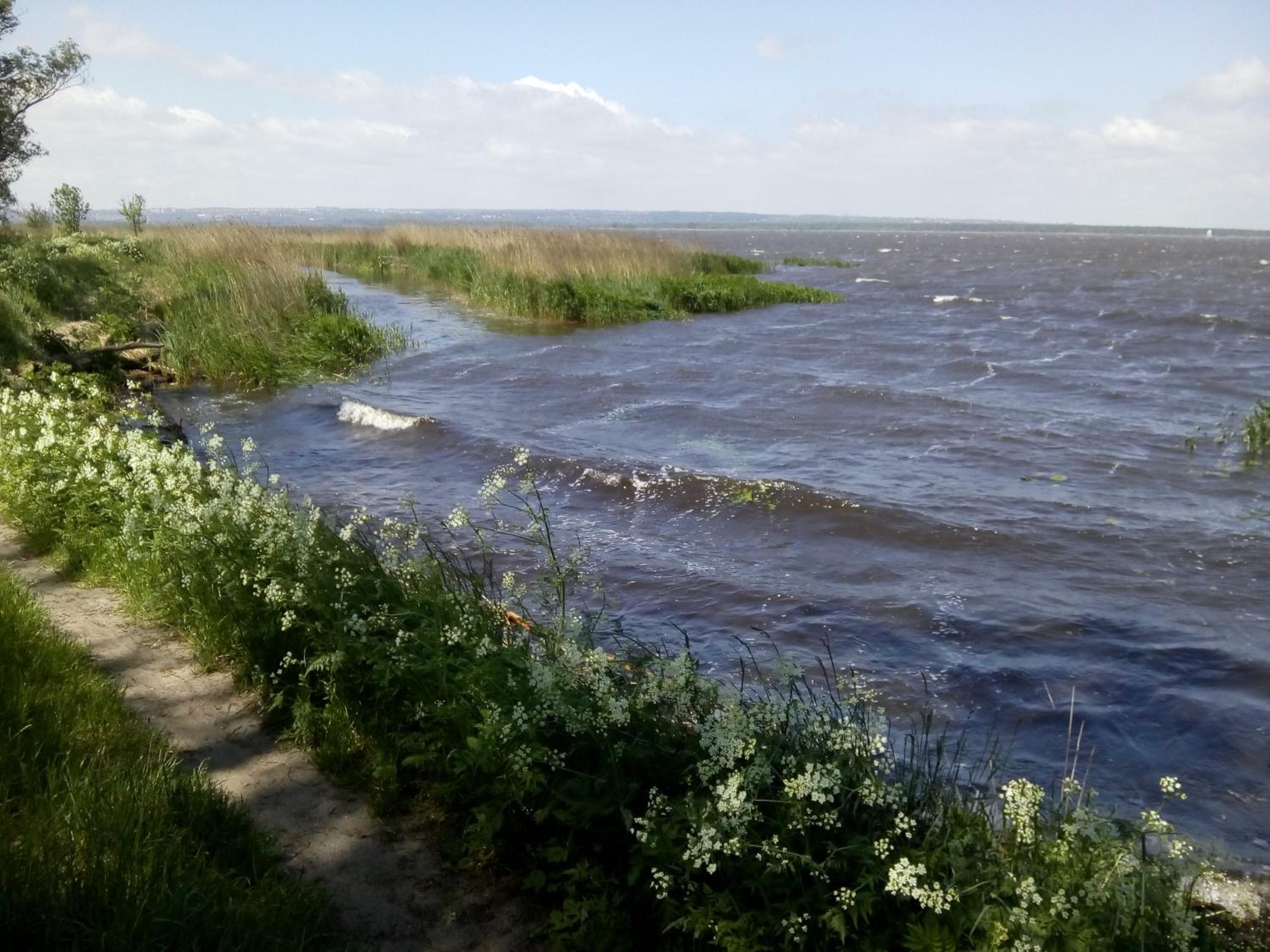 Photo 31
