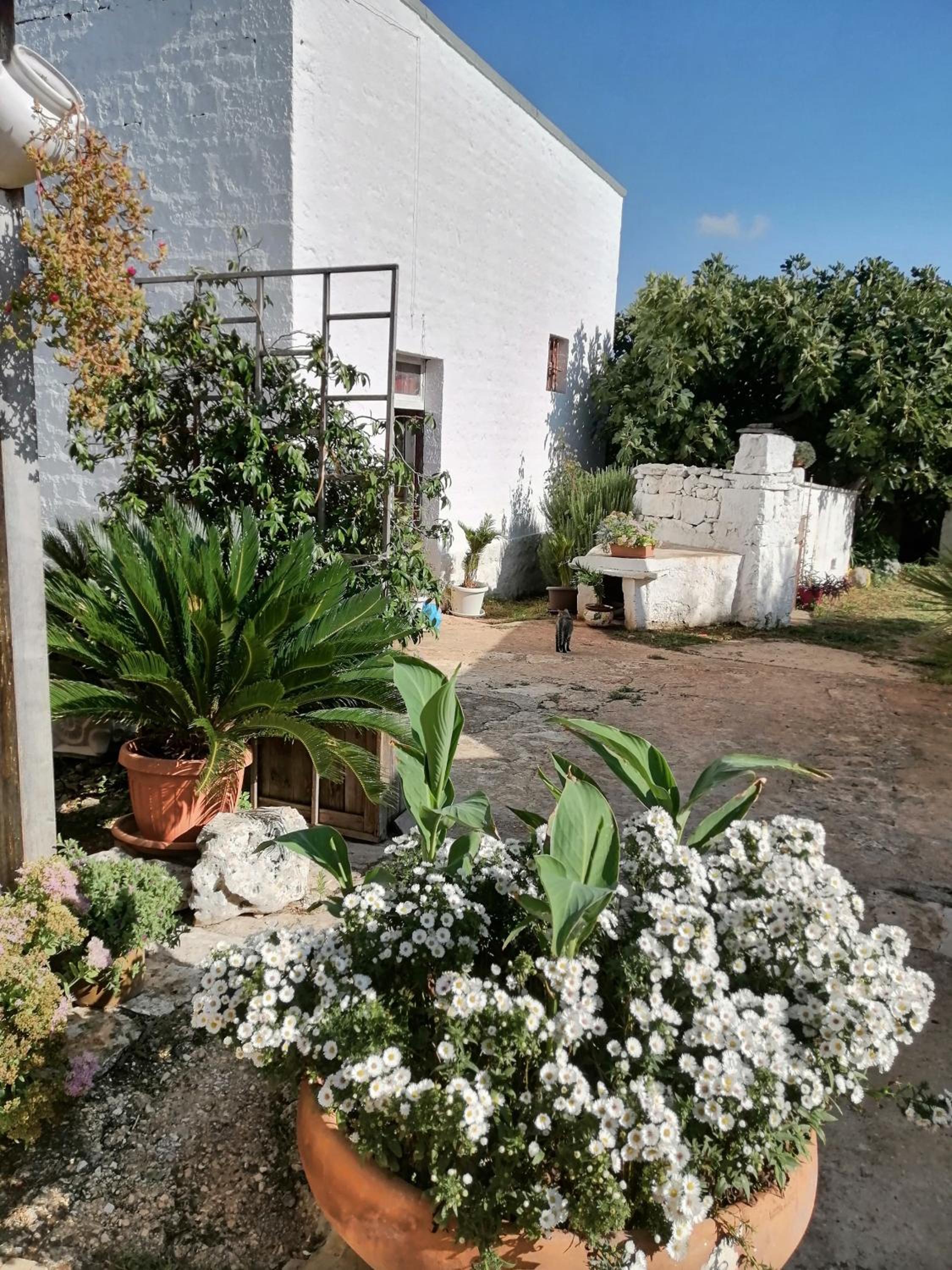 Trulli la casa di Rosa photo 4