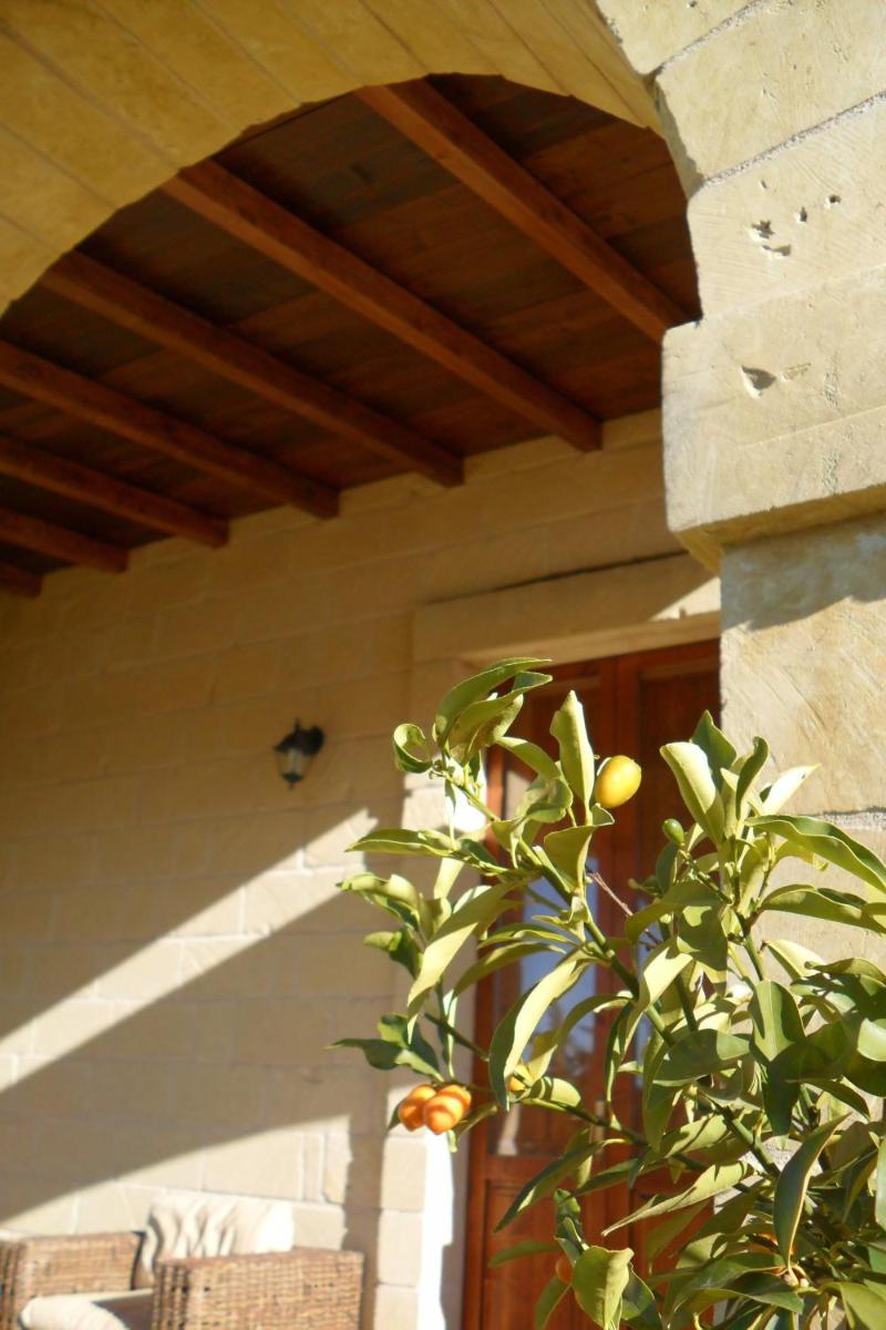 Photo 43
