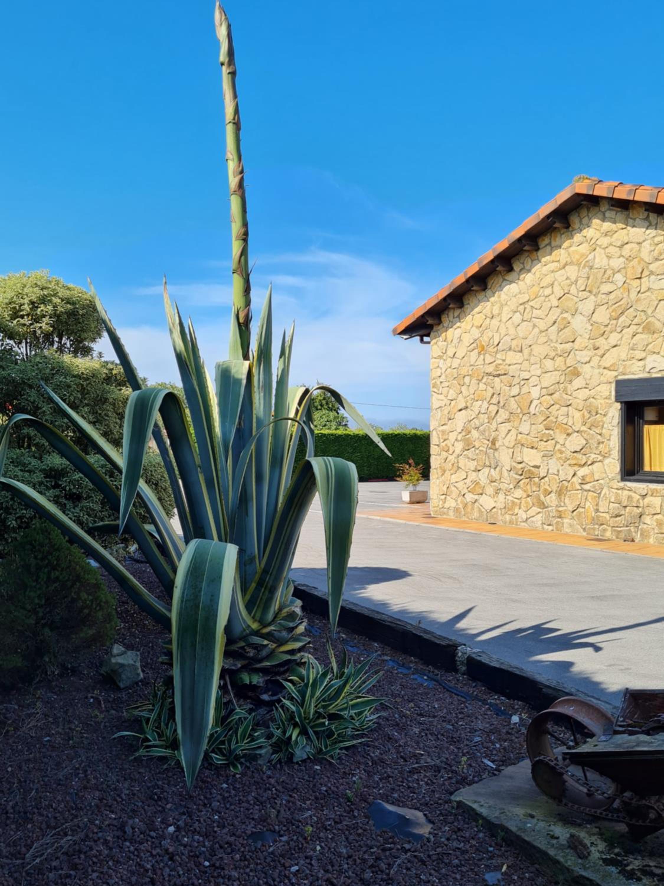 Apartamentos Rurales 