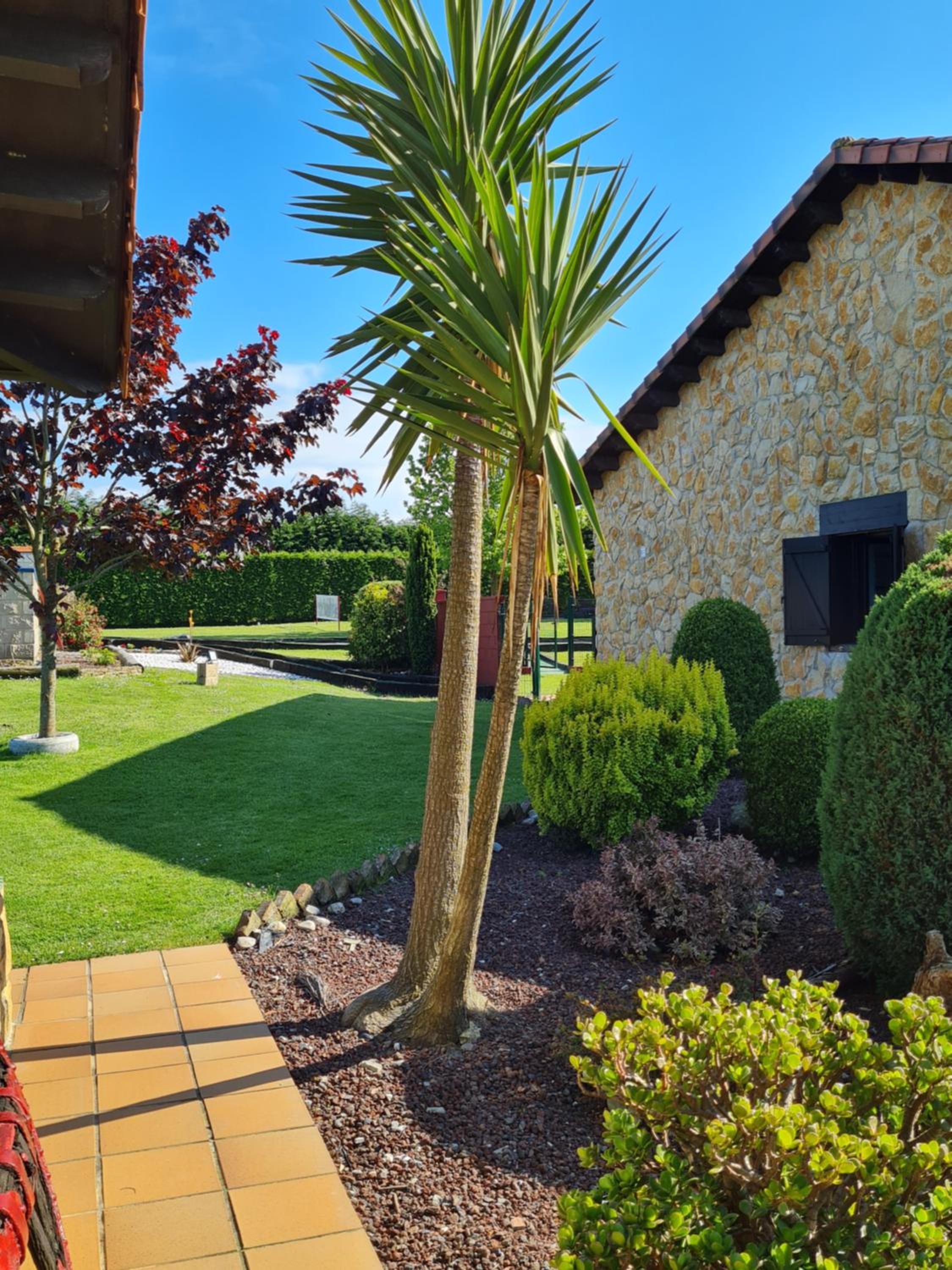 Apartamentos Rurales 