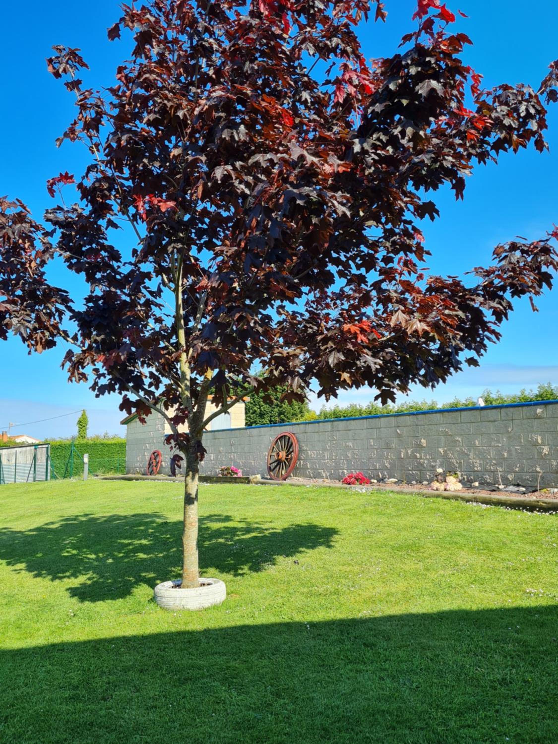 Apartamentos Rurales 