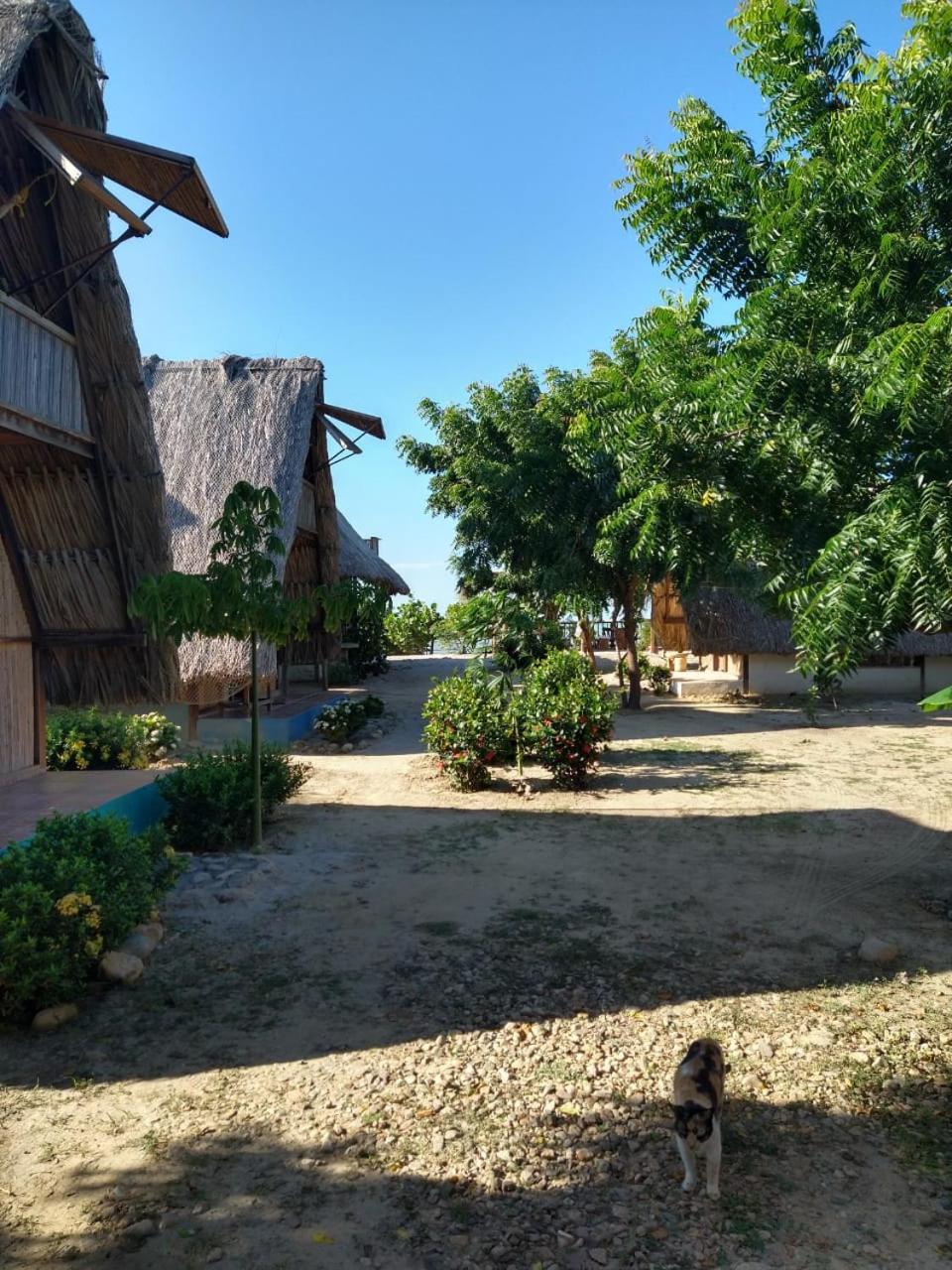 Playa Kai Glamping