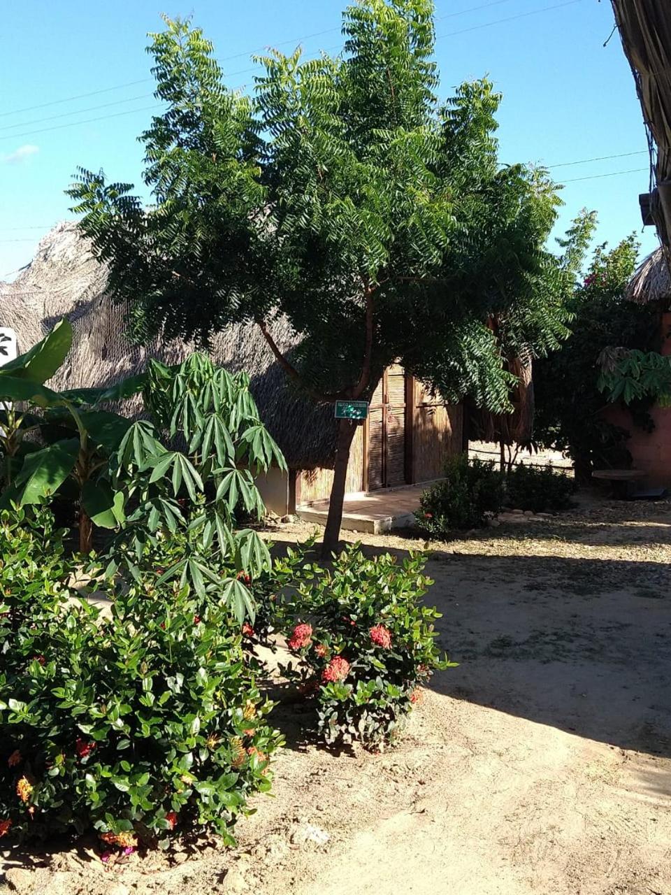 Playa Kai Glamping