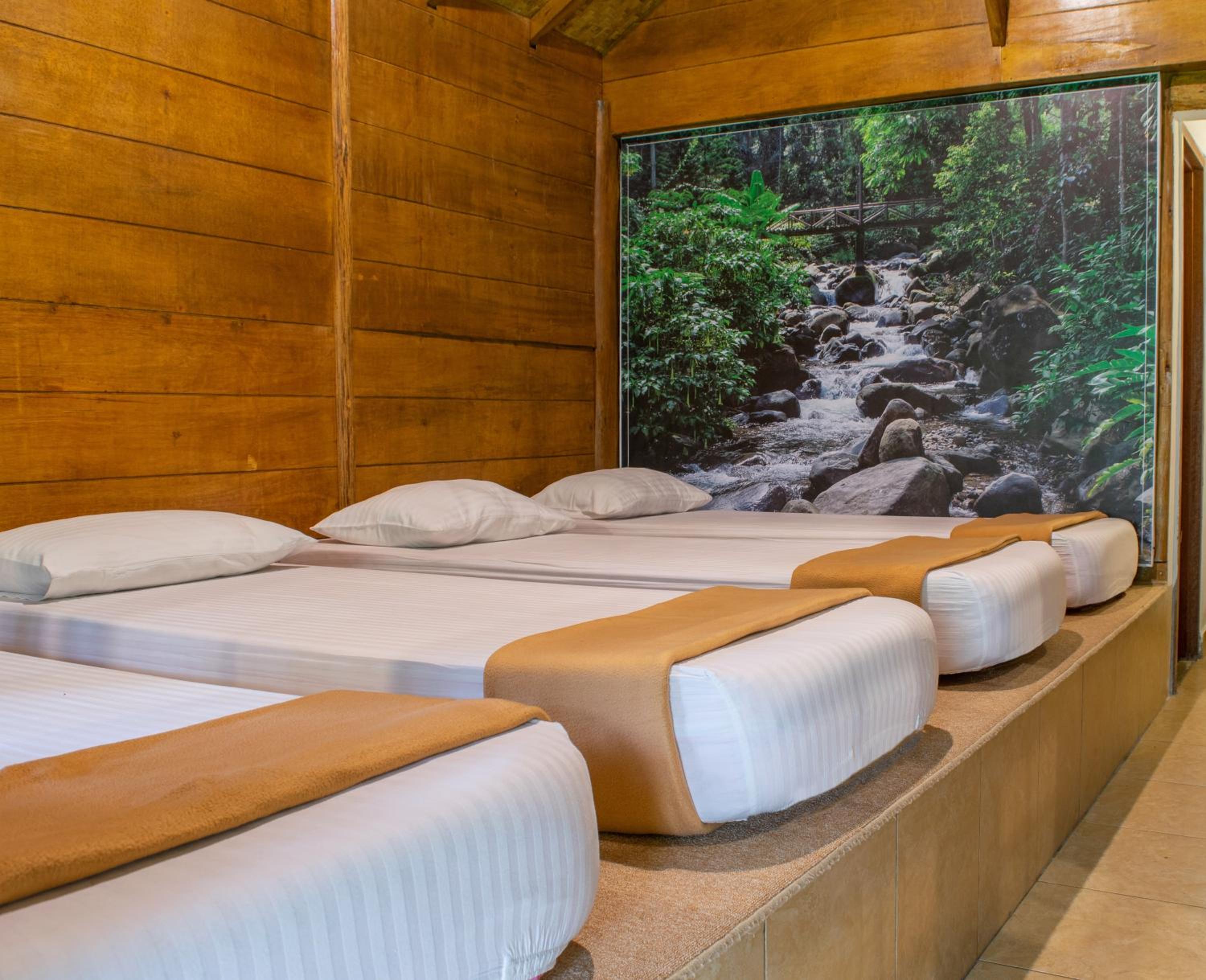 Photo 72