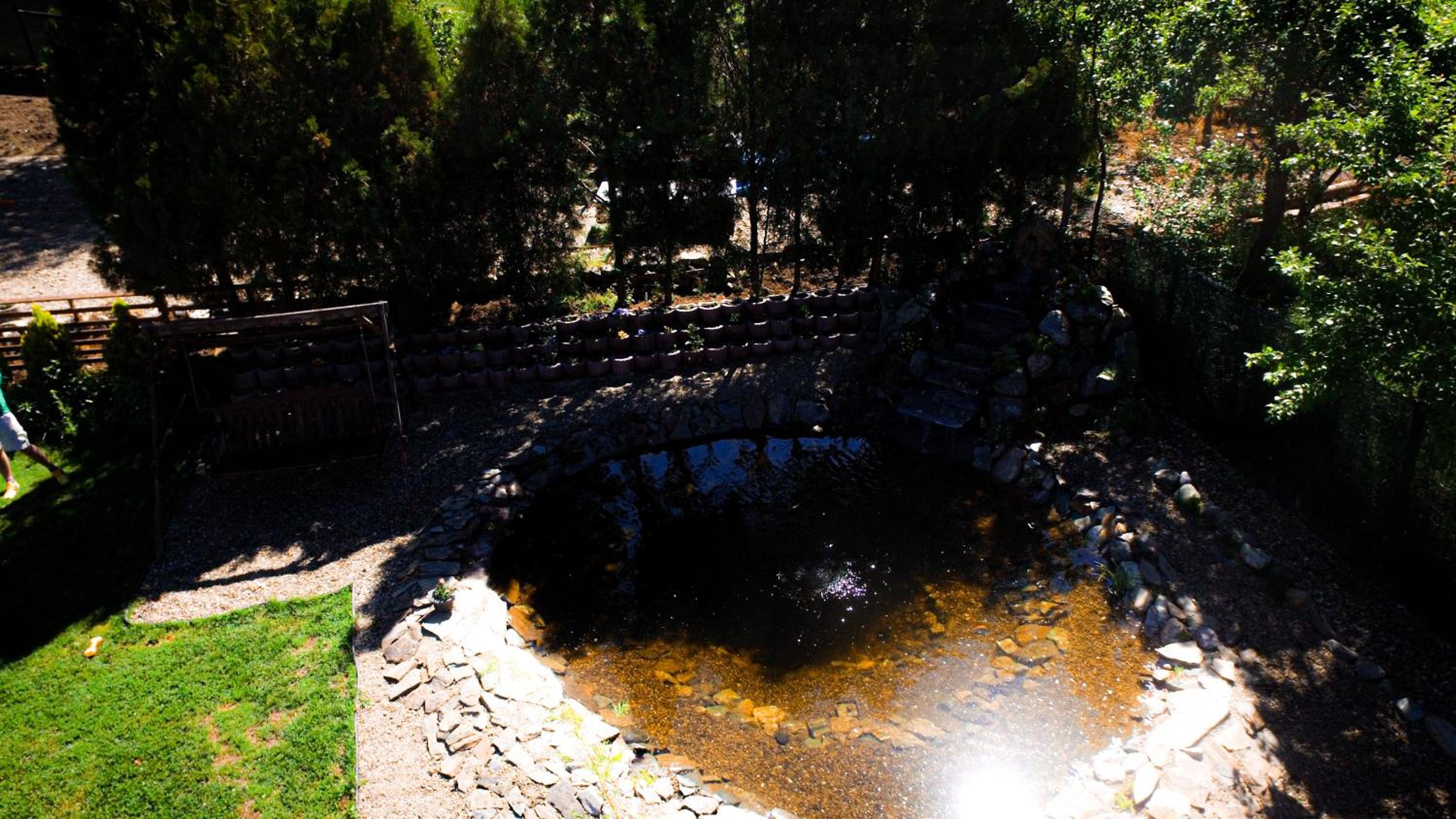 Photo 42