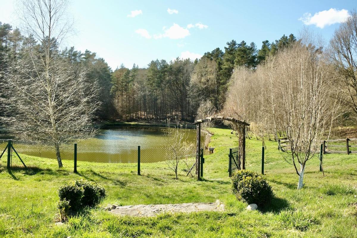 Photo 41