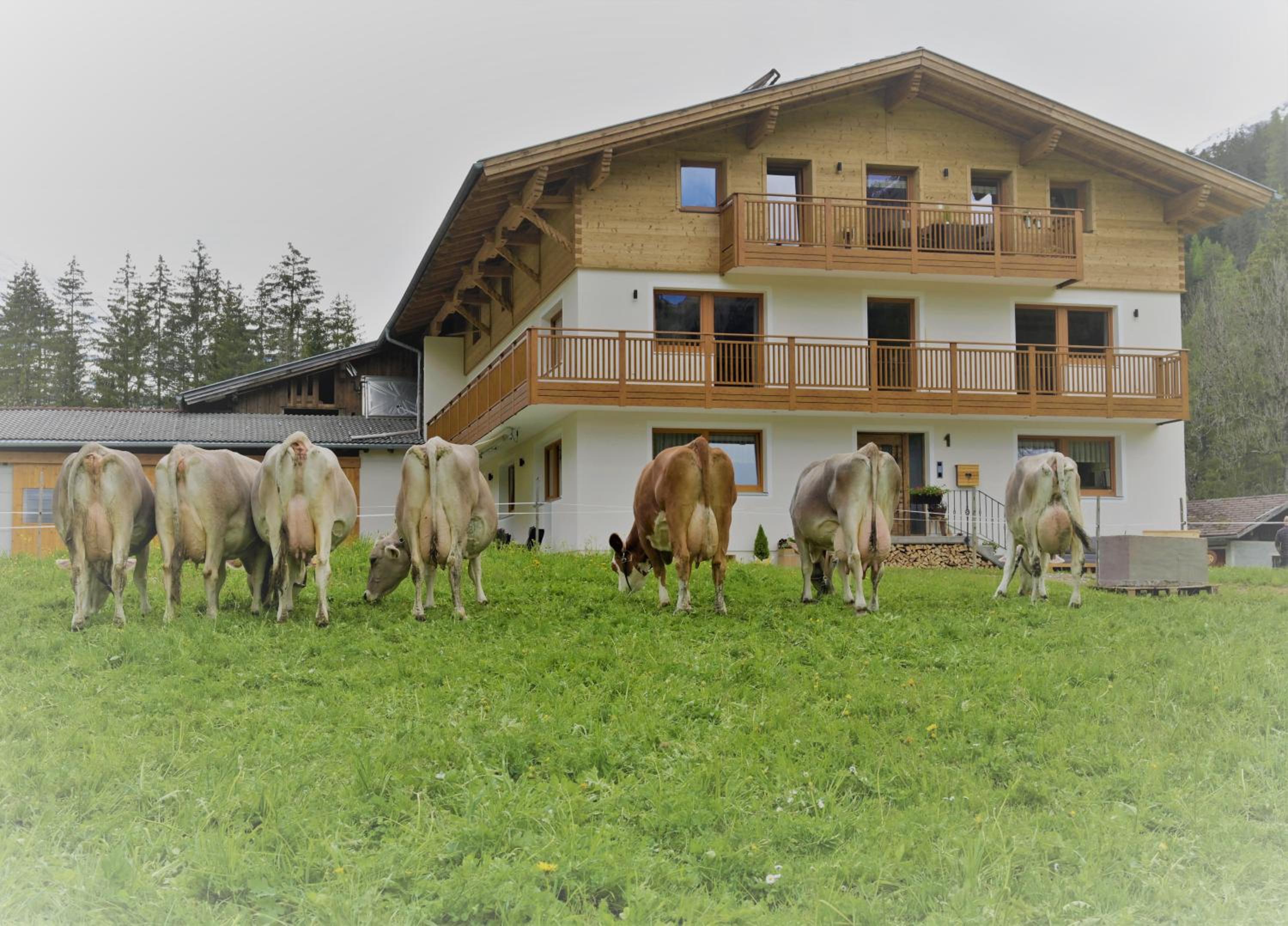 Lechtal-Pur-Aparts view 4
