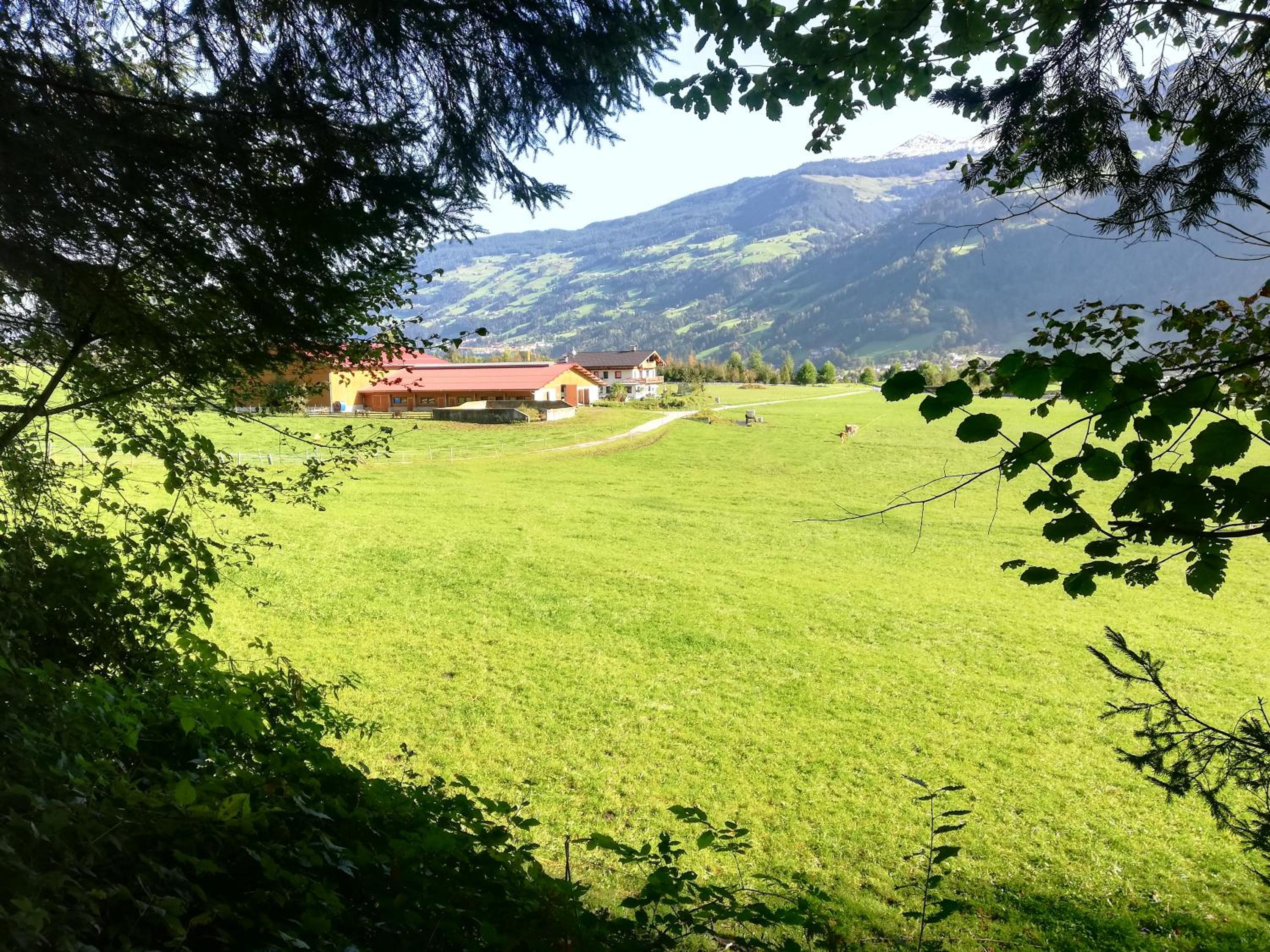 Photo 9