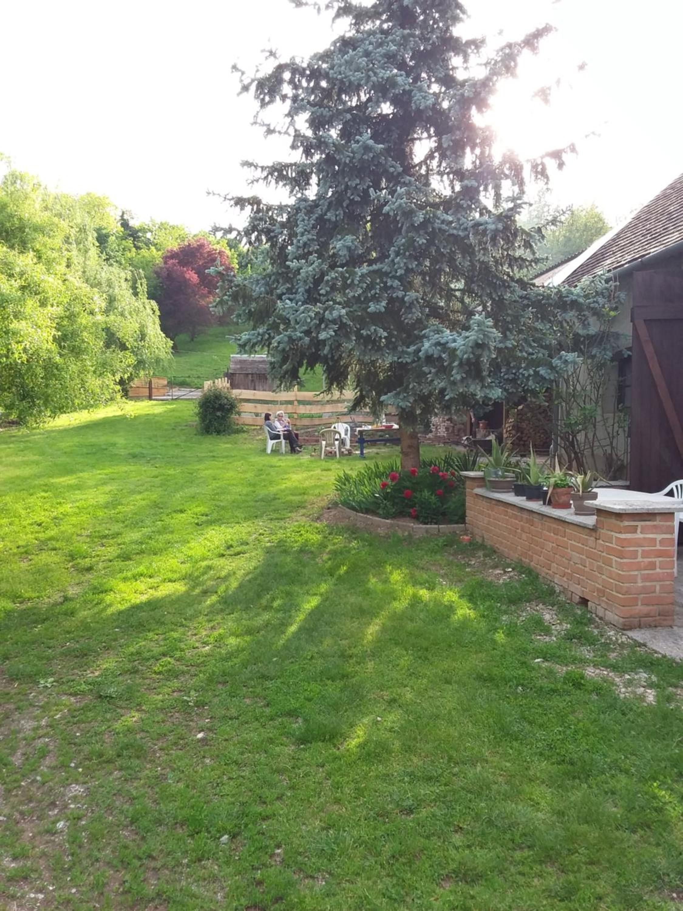 Photo 22