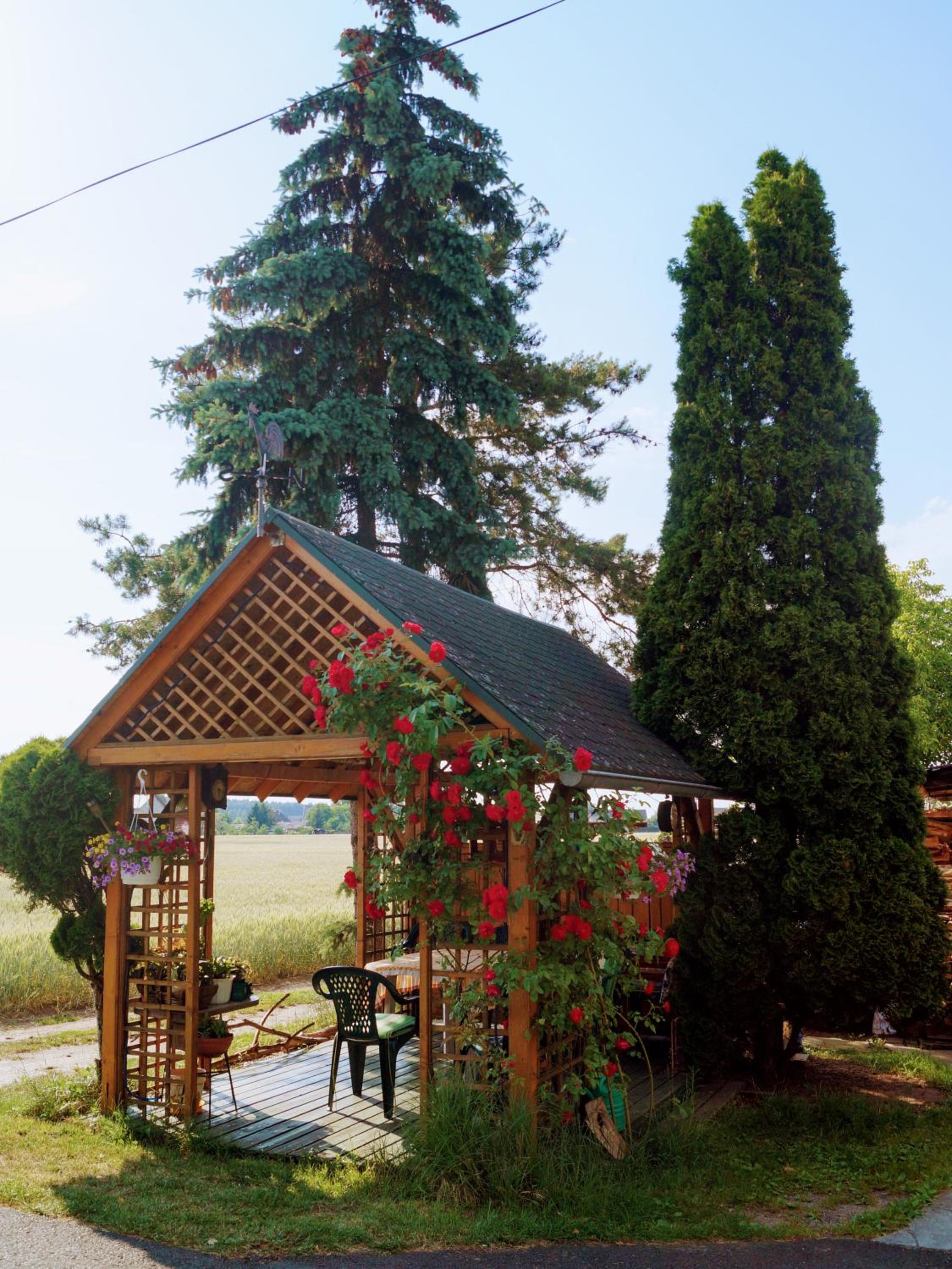 Photo 24