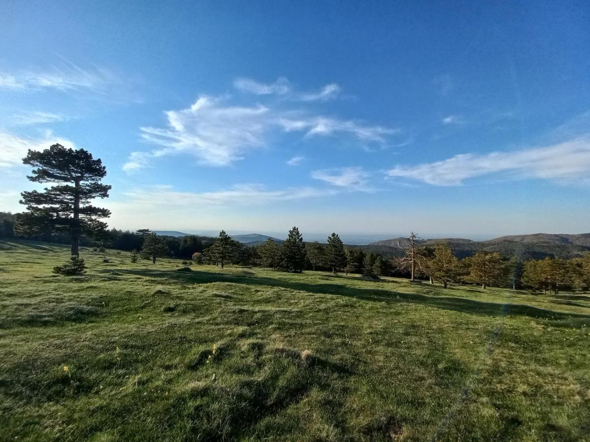 Apartman Kaćun - Divčibare view 5