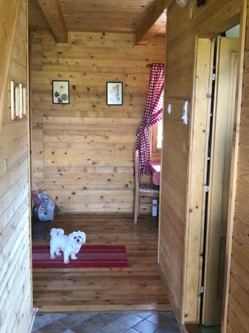 Photo 38