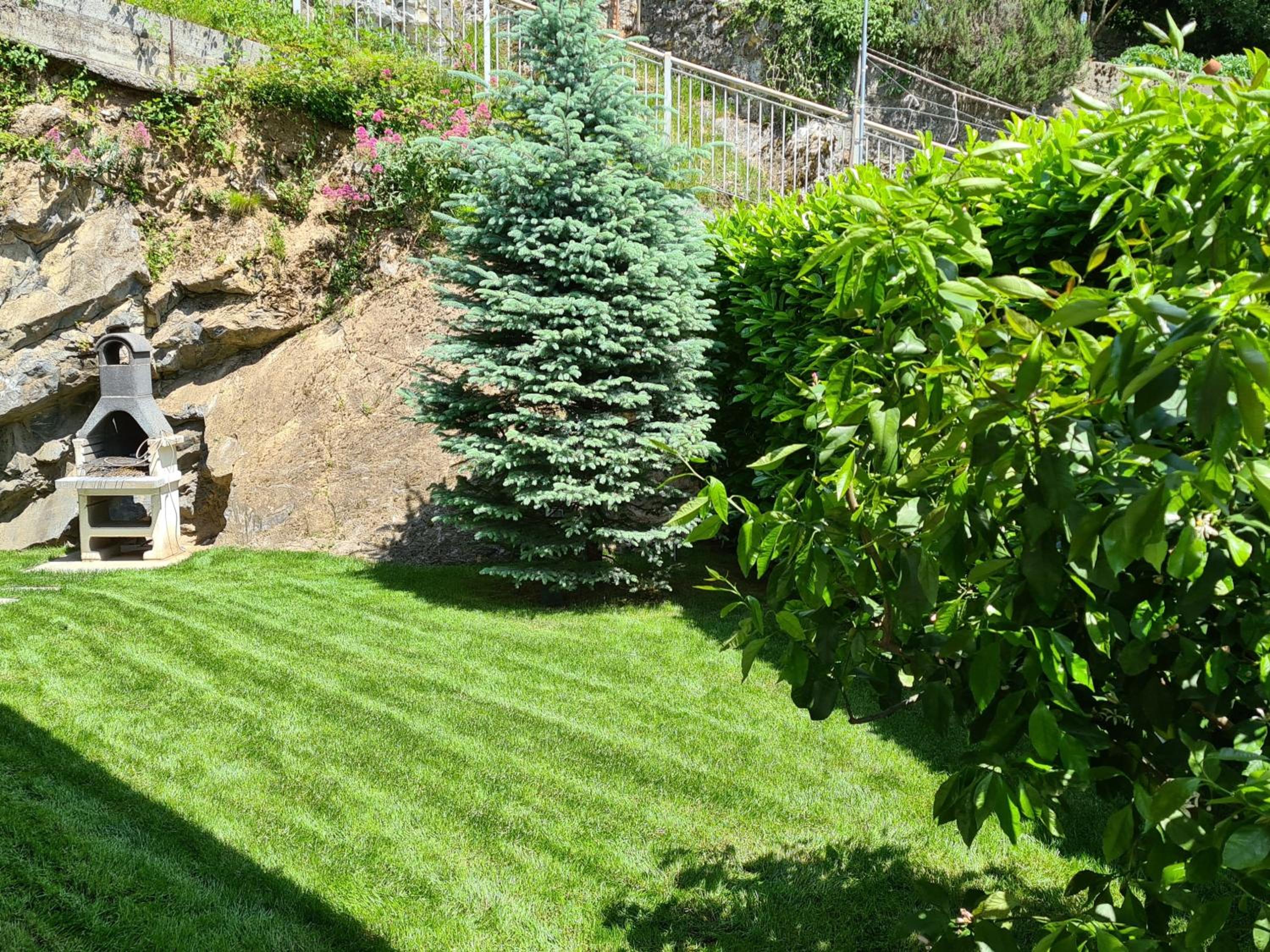 Photo 49