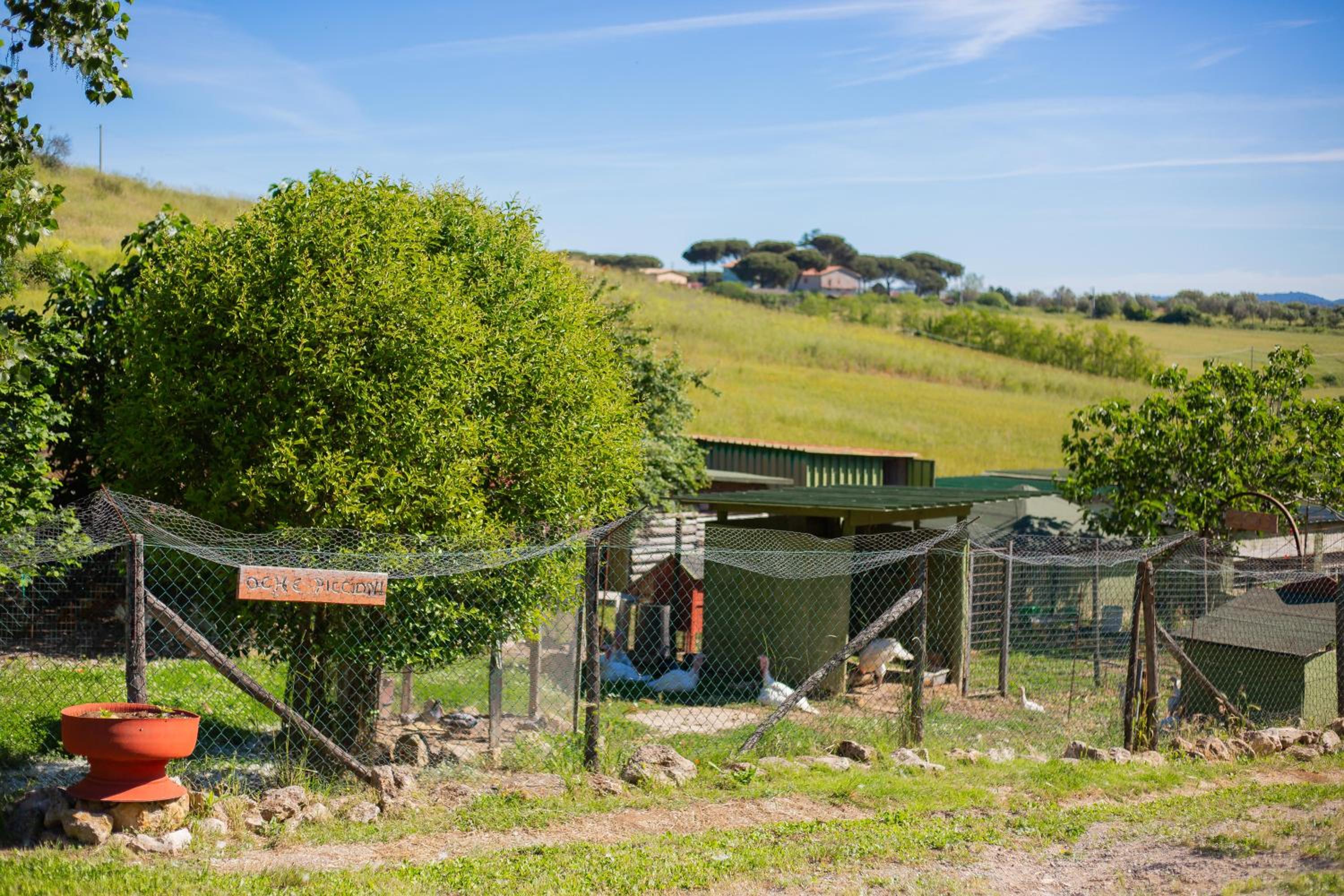 Agriturismo Zugarelli