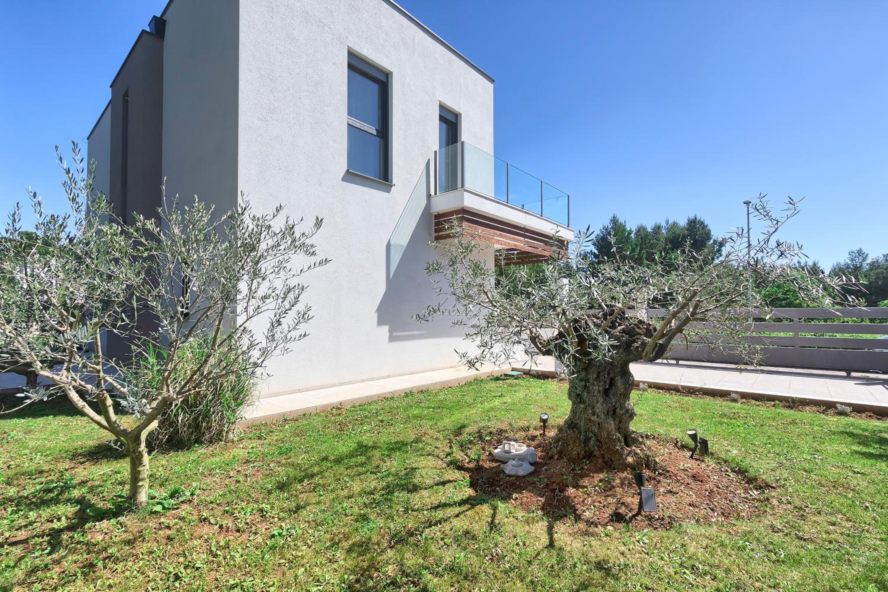 Photo 76