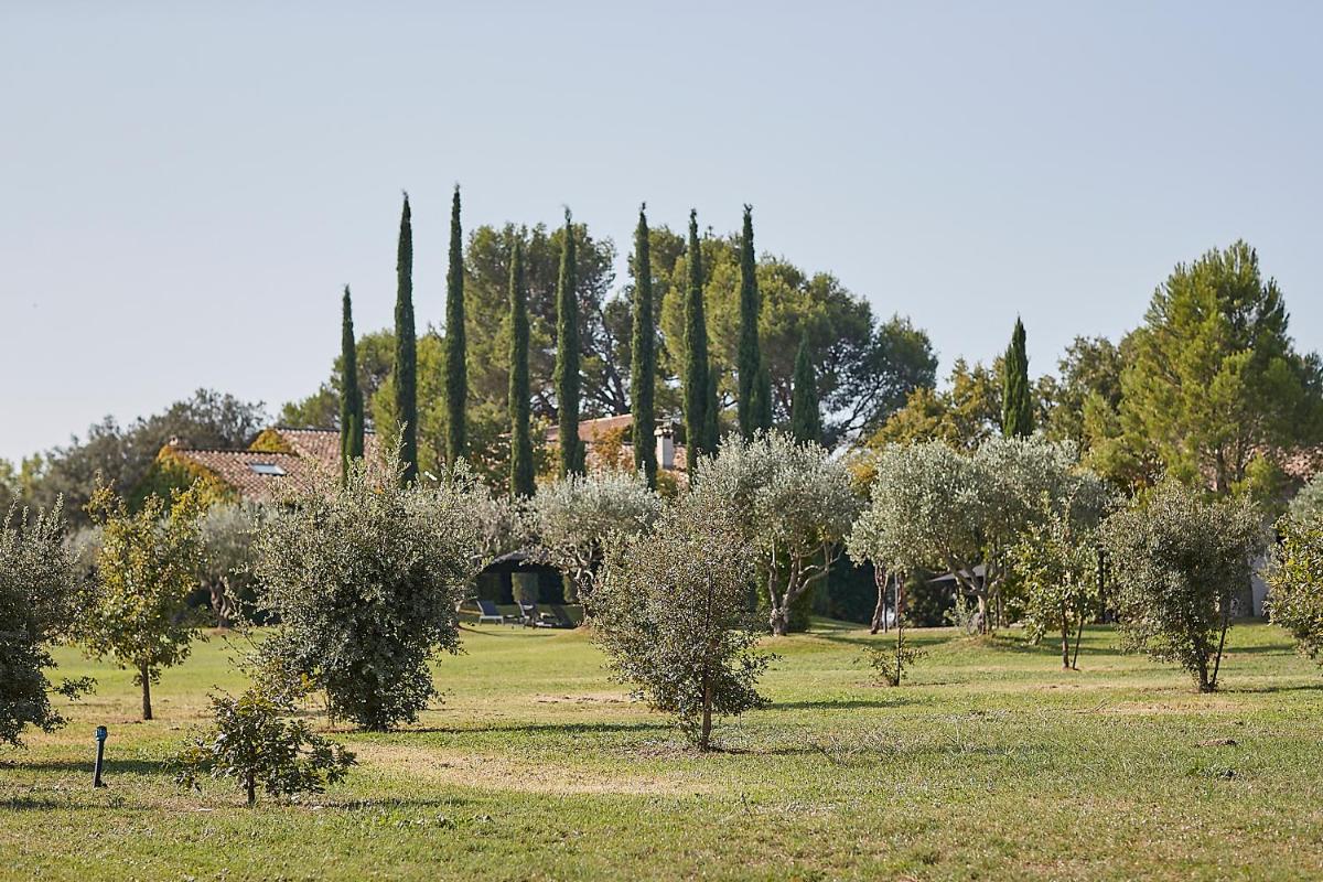 Photo 40