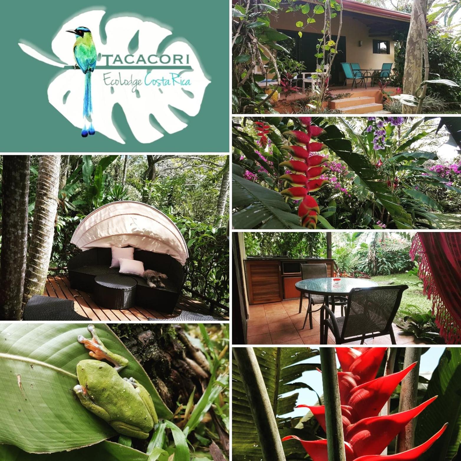 Tacacori EcoLodge