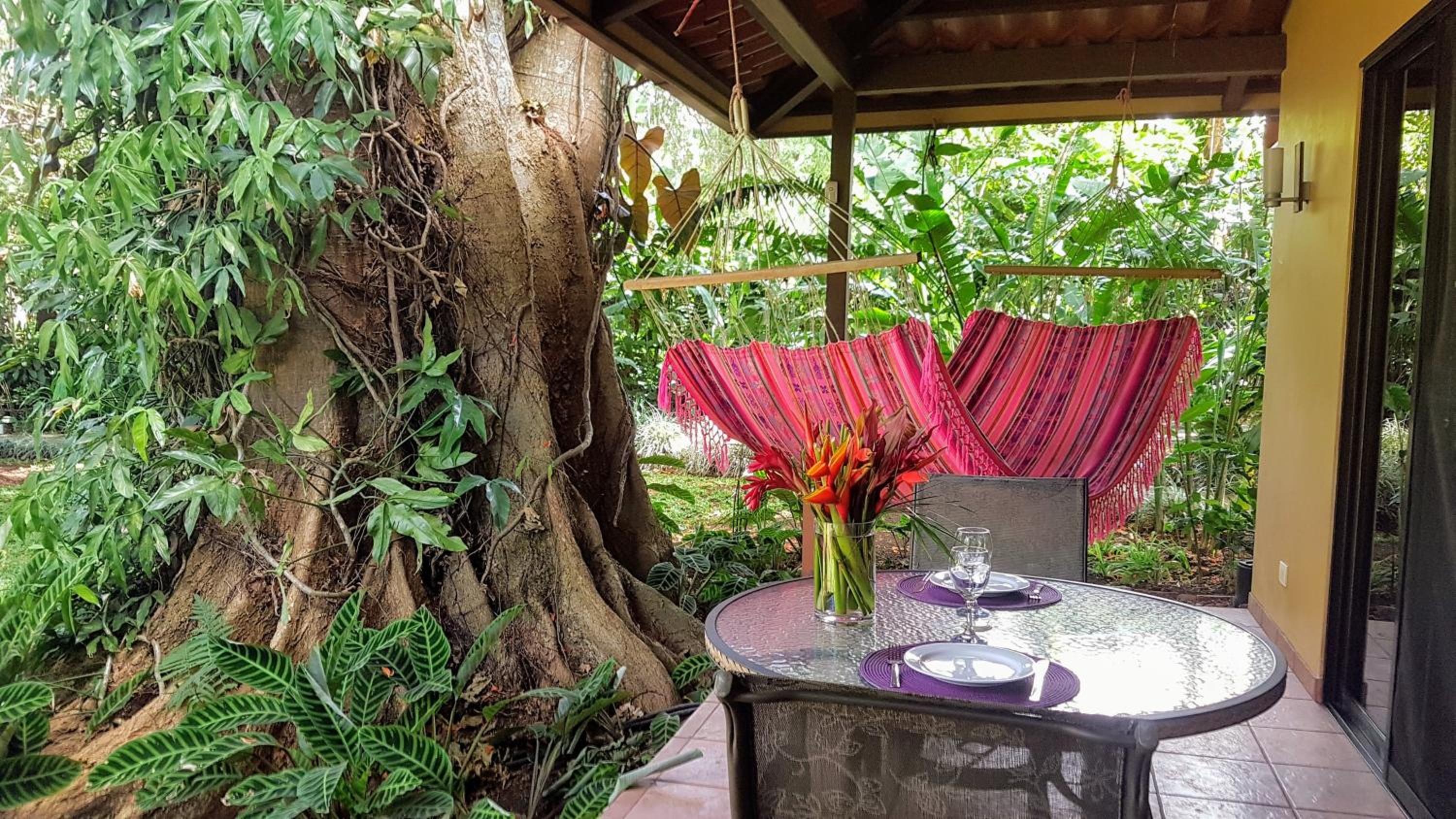 Tacacori EcoLodge