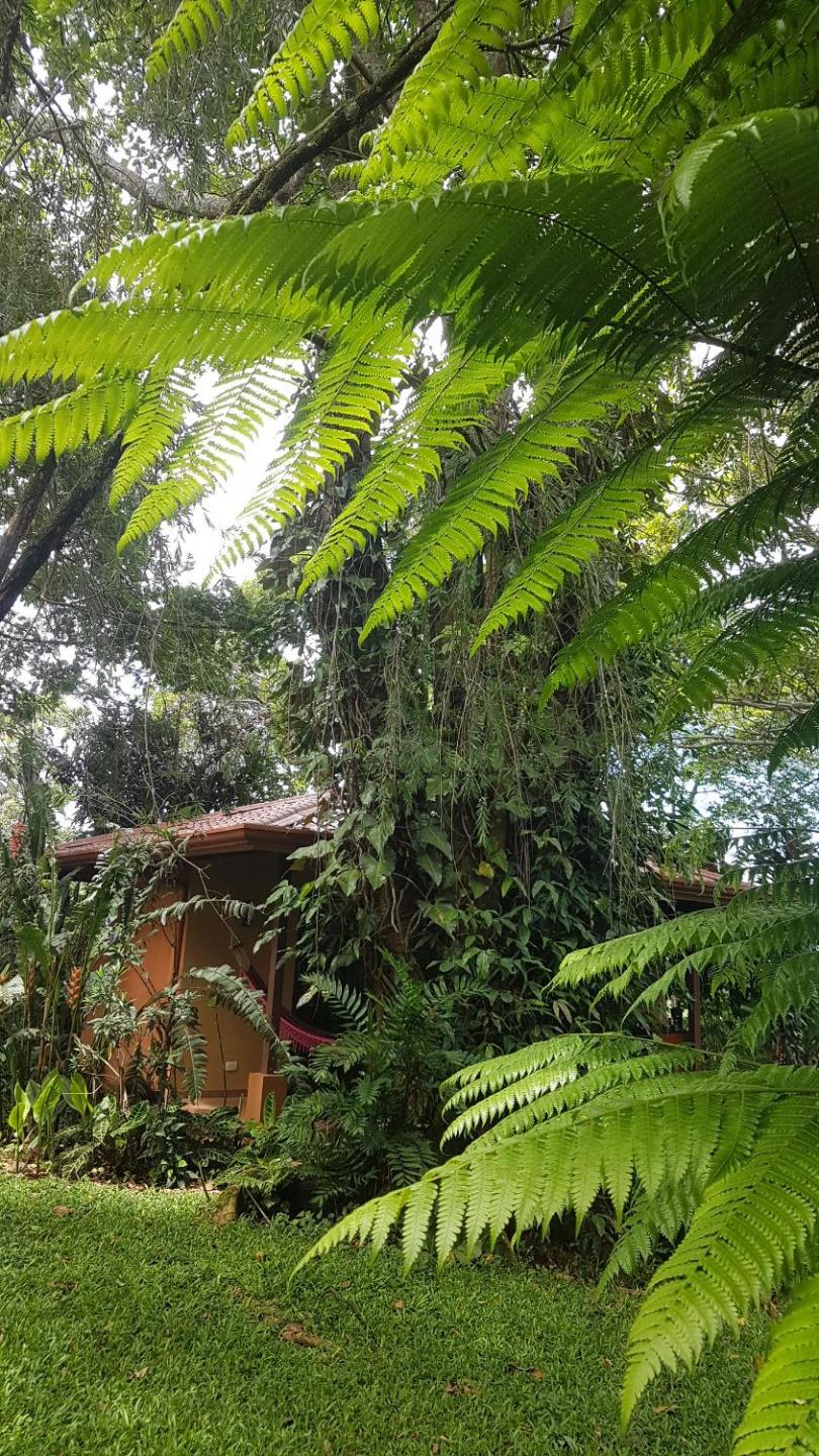Tacacori EcoLodge