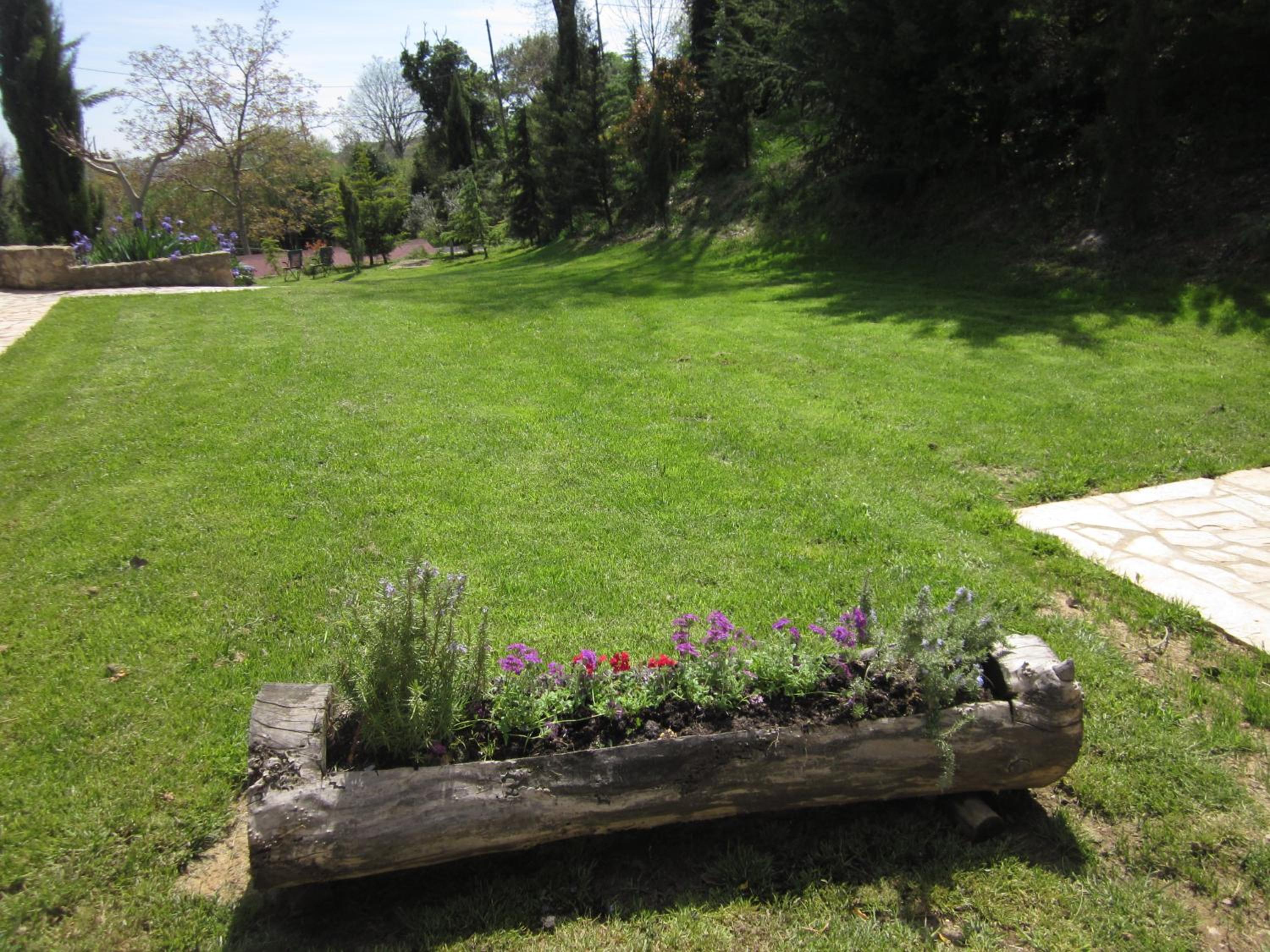 Photo 22