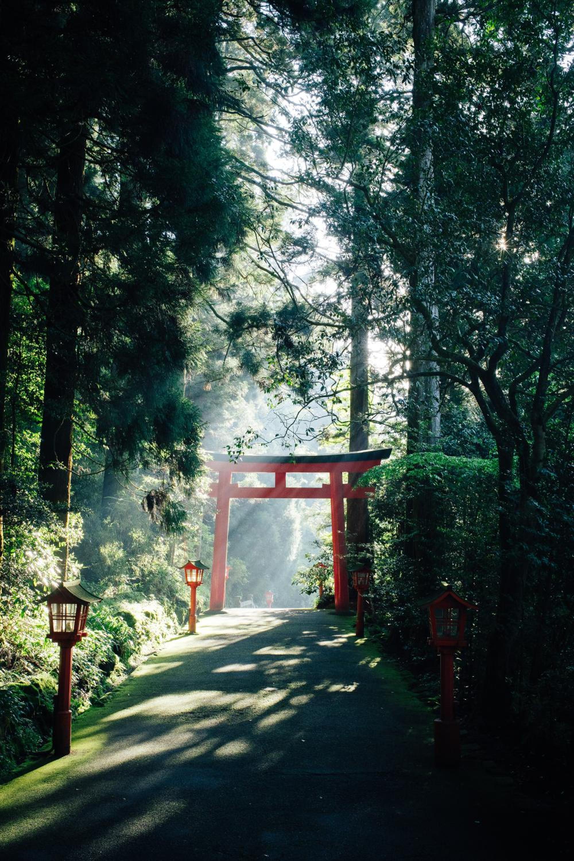 Hakone Villa view 3