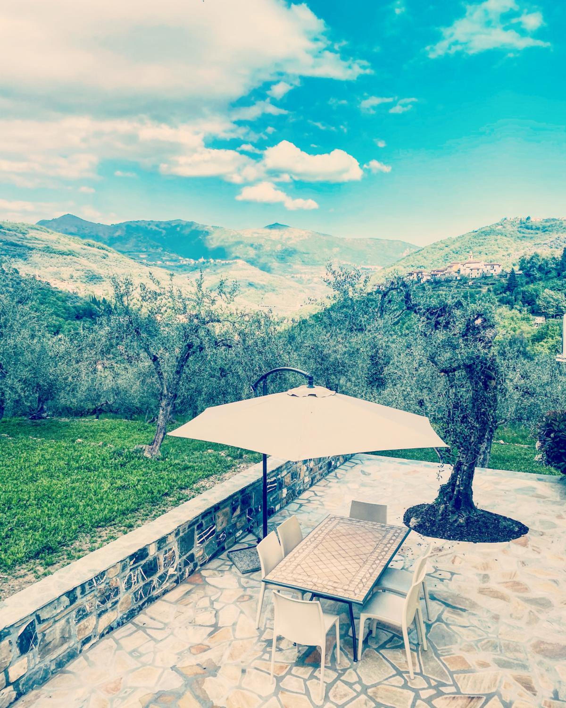 Casa vacanze gli ulivi view 5