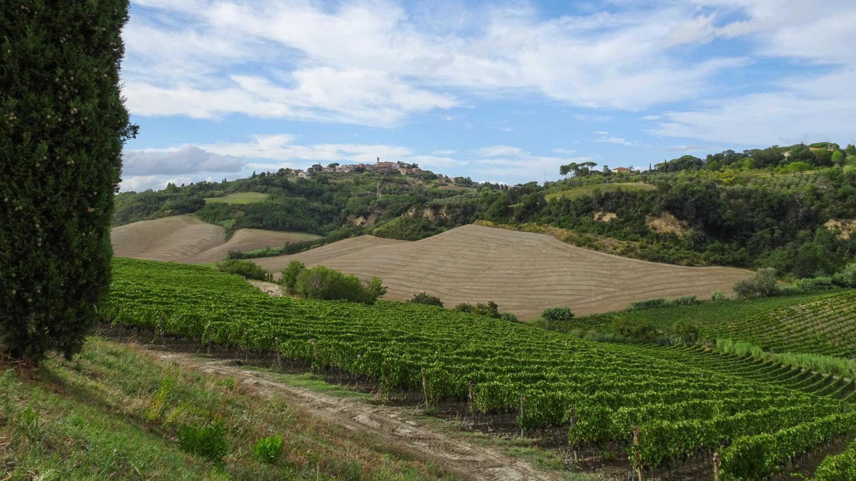 Agriturismo Anna-Rosa