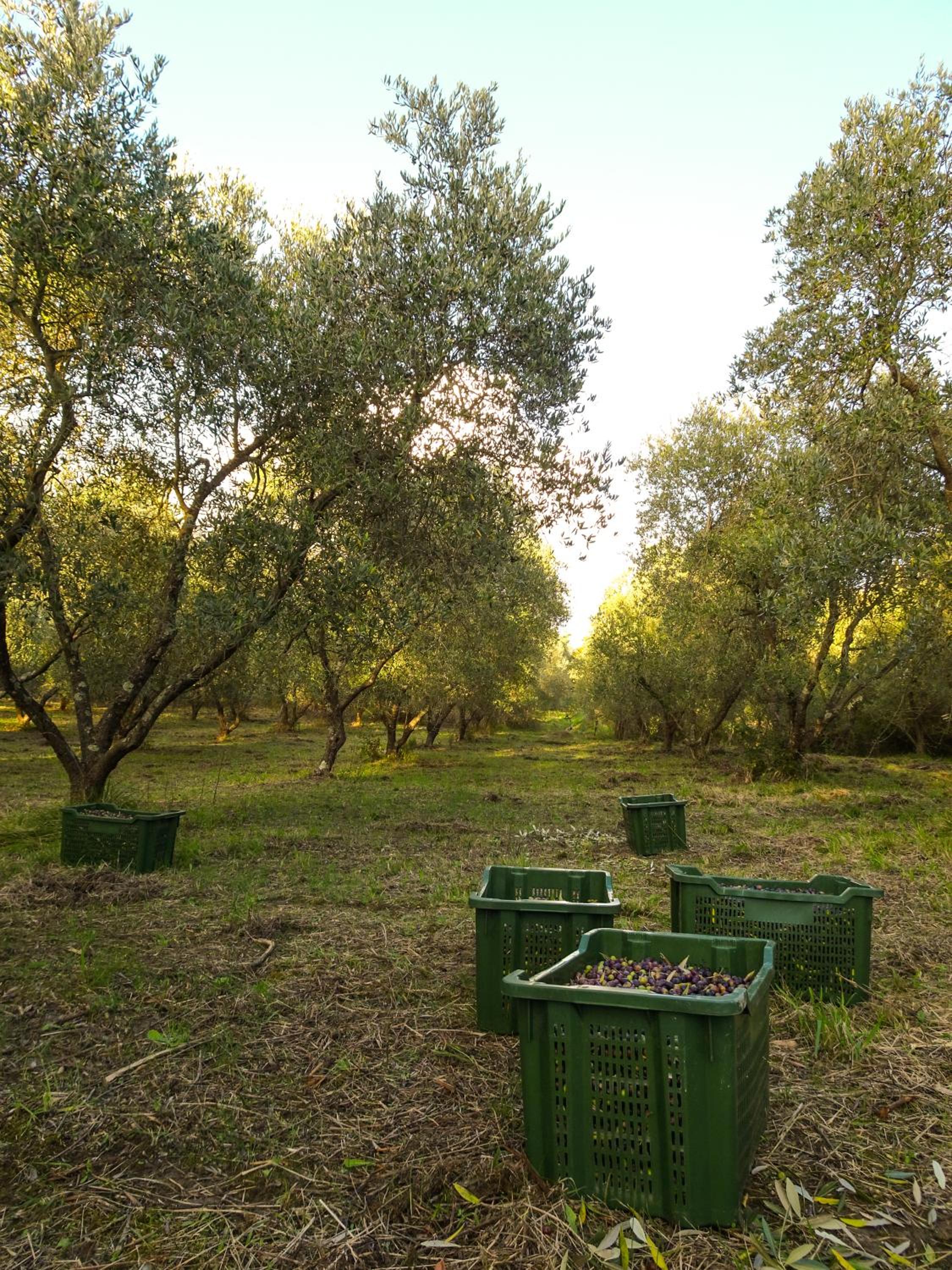 Agriturismo Anna-Rosa