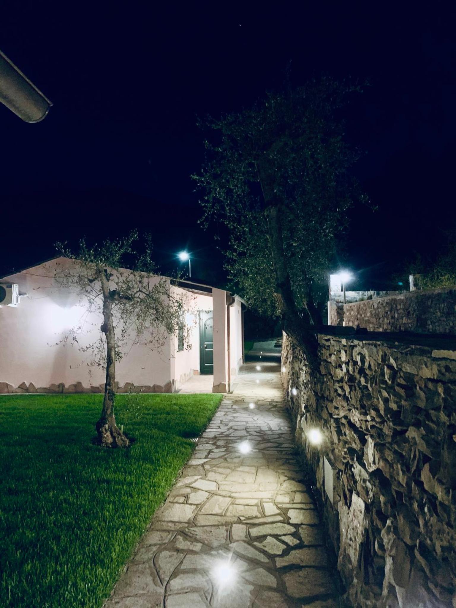 Photo 49