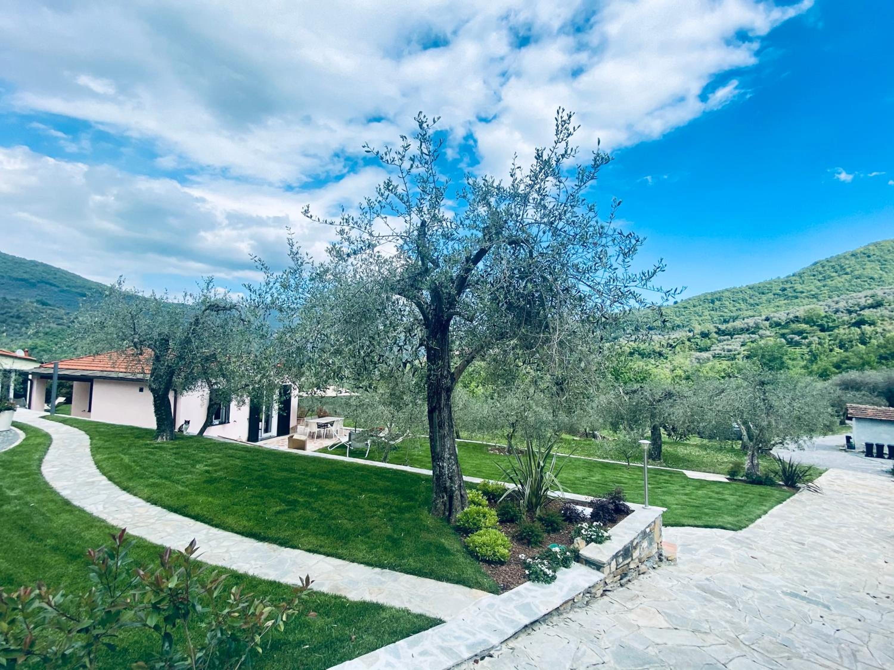 Casa vacanze gli ulivi view 2