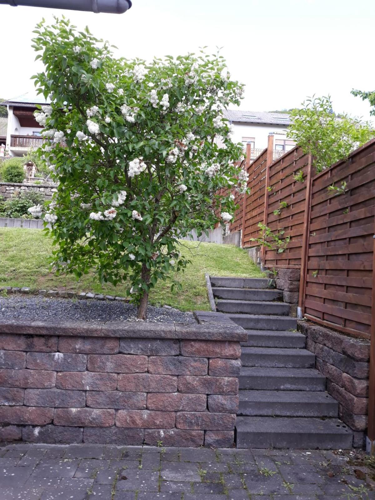 Ferienwohnung Saarblick view 4