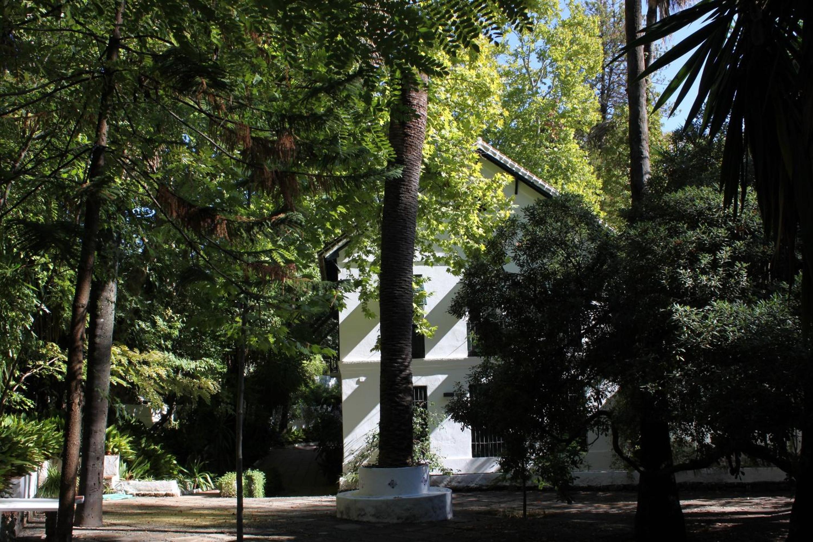Photo 19