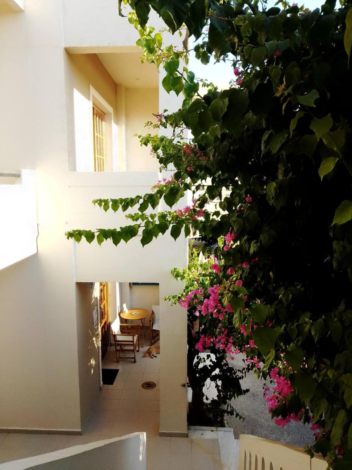 Irini Apartments photo 5