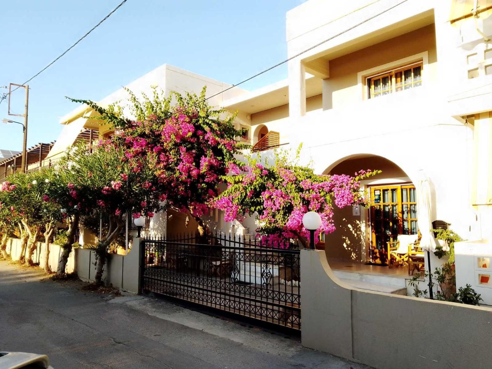 Irini Apartments photo 1