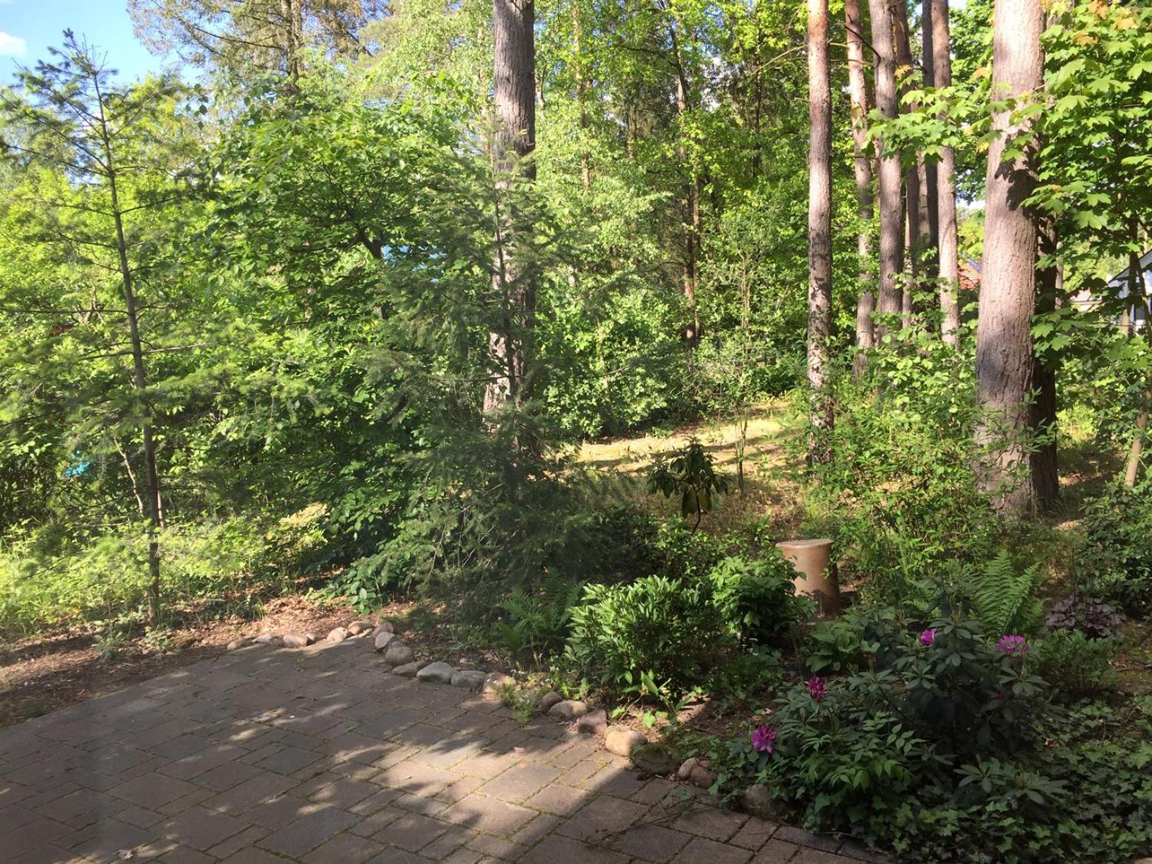 Wald und Wohlsein