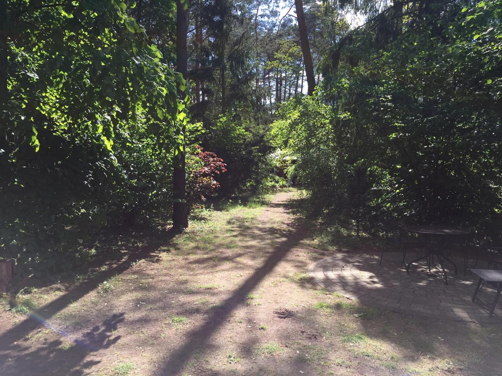 Wald und Wohlsein