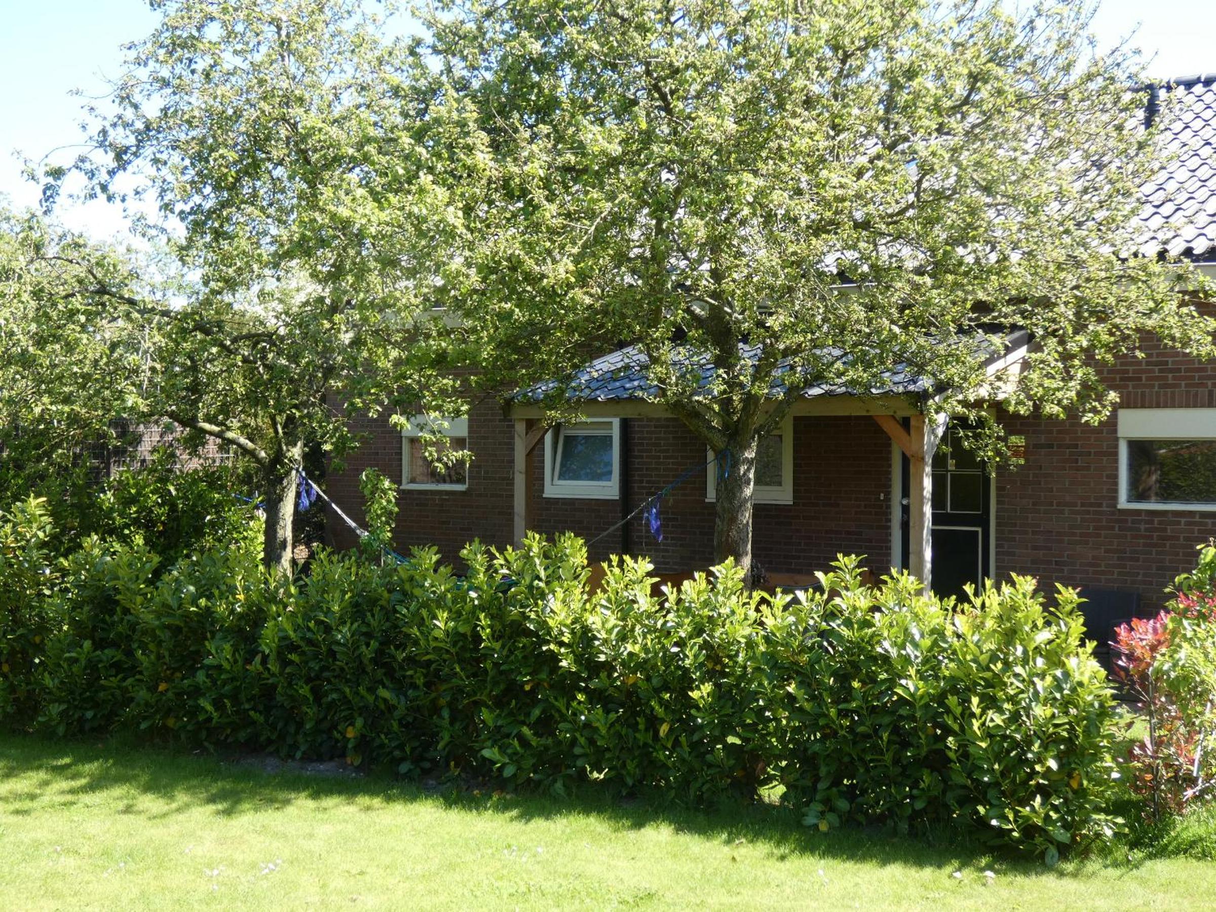 Photo 27