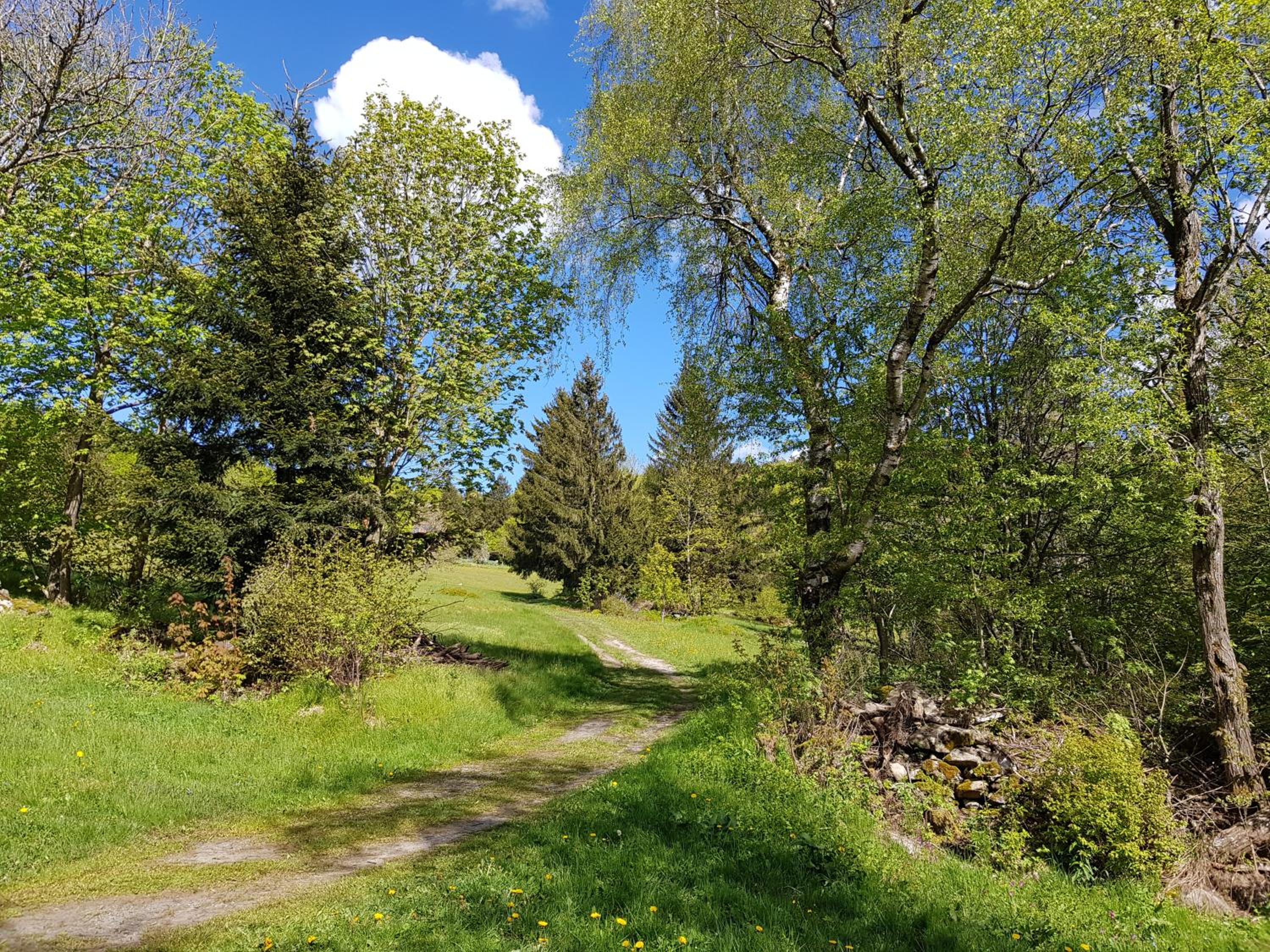Photo 25