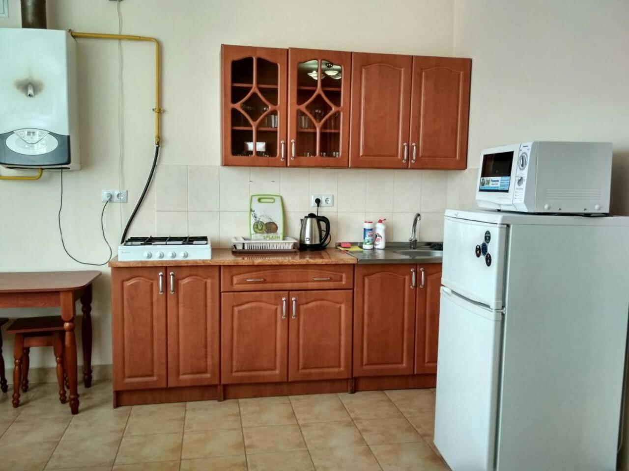 Apartments Domovik квартира с видом на гори Парканія 21 view 3