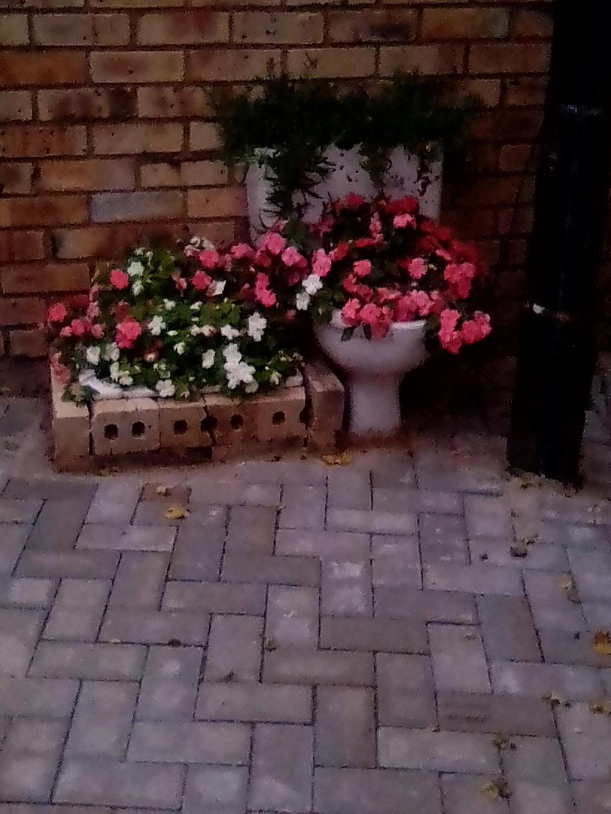 Photo 47