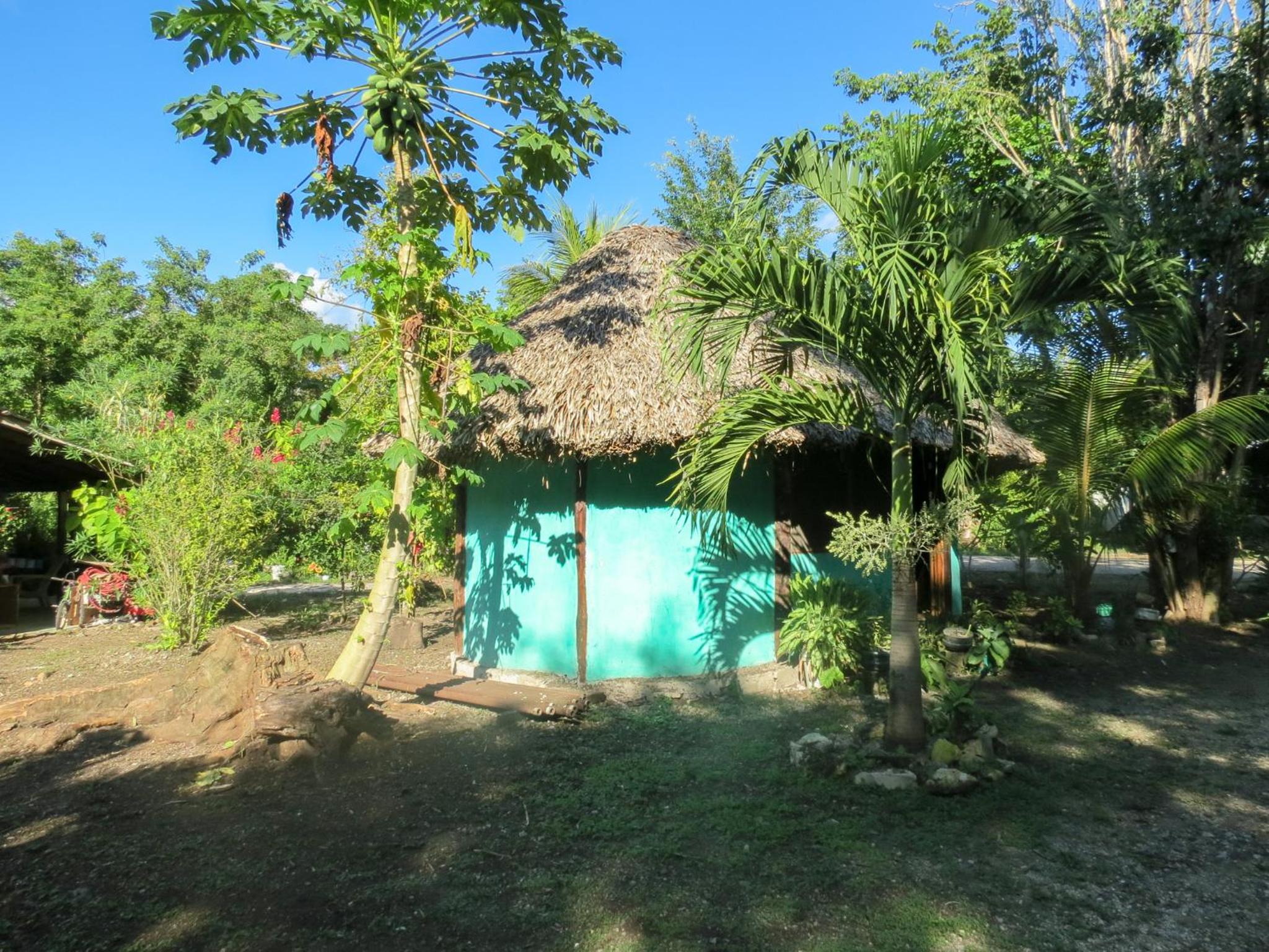 Cabañas Calakmul view 5