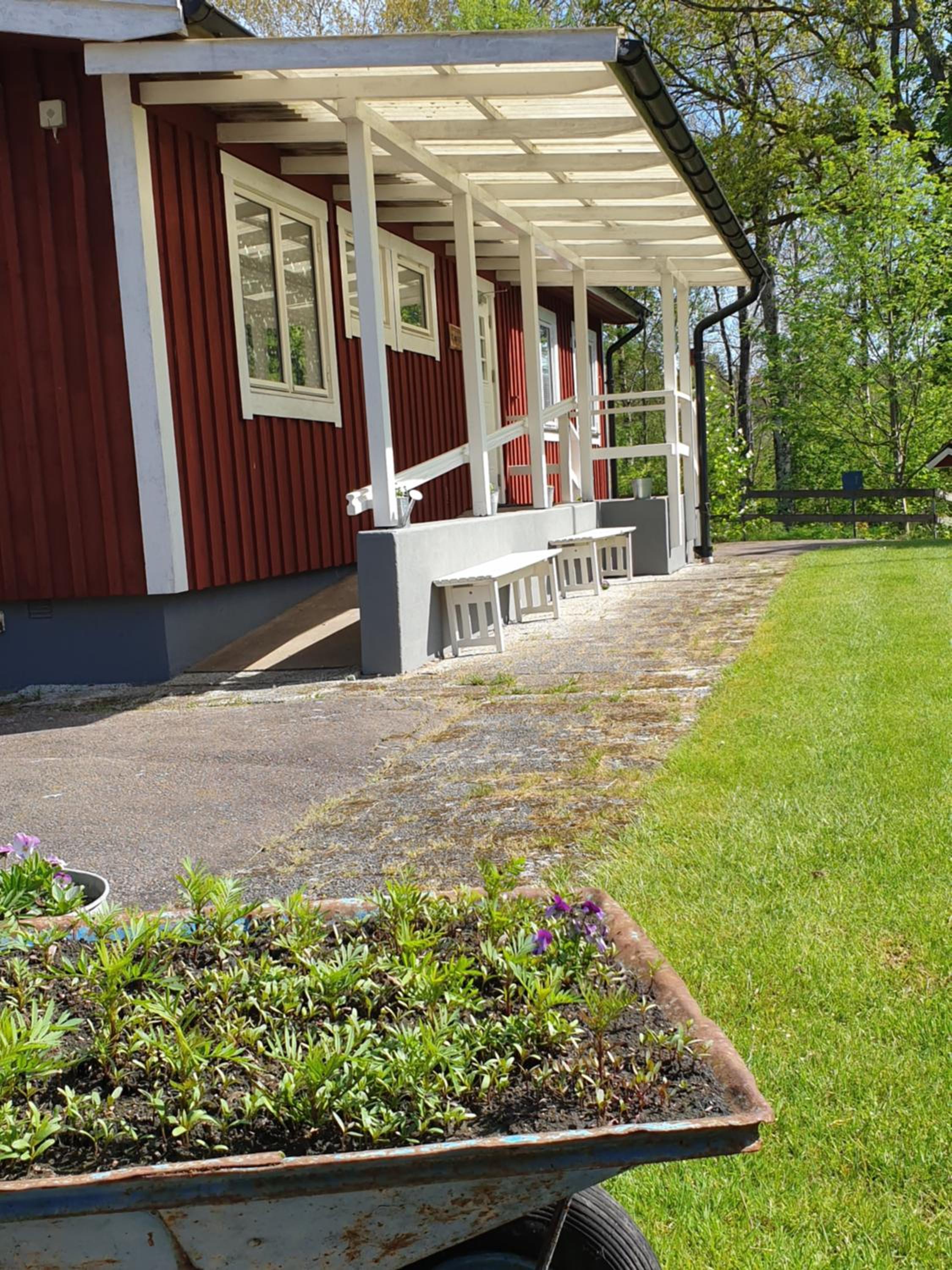 Den Sovande Älgen