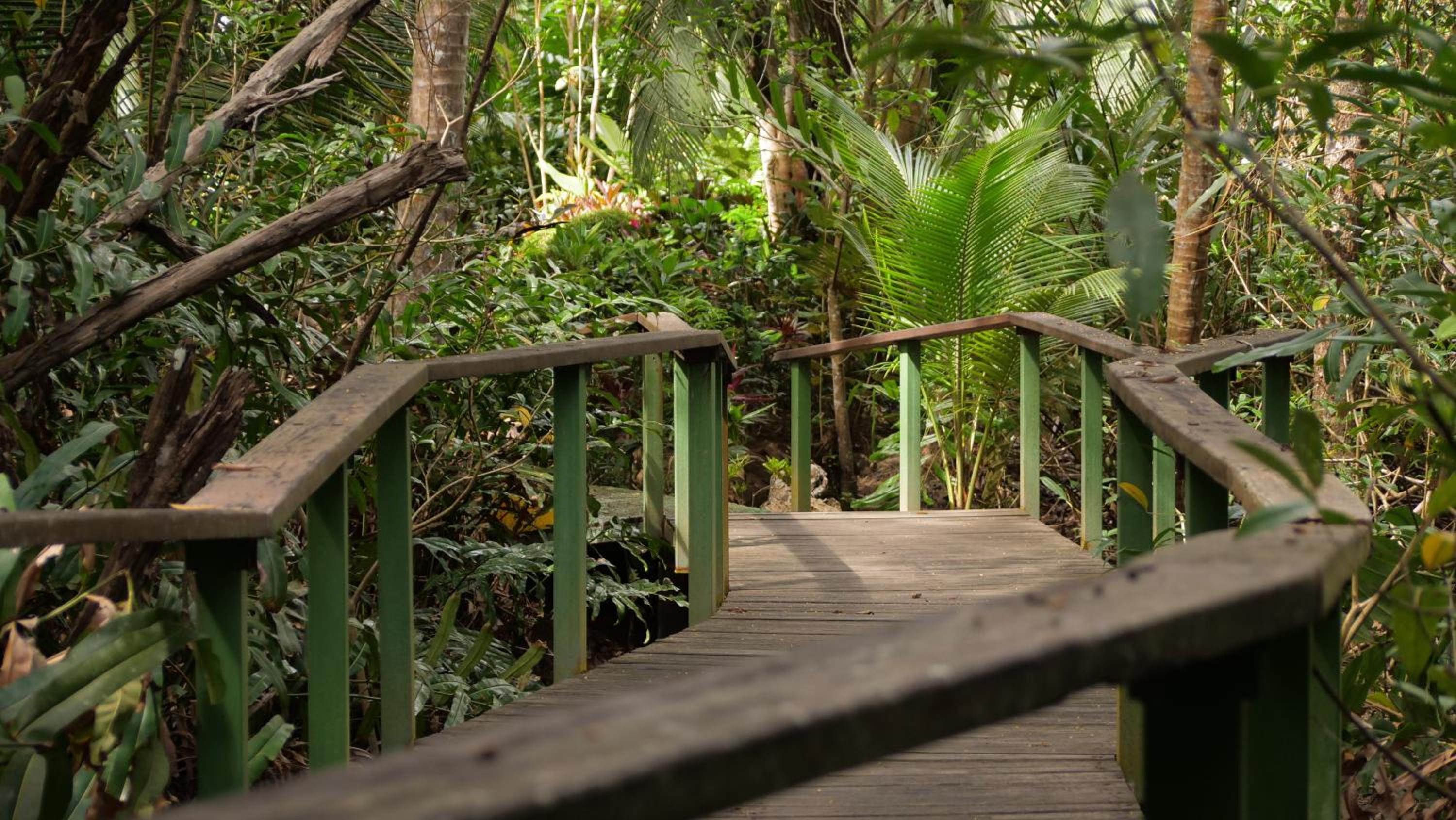 Casa Manglar Villa