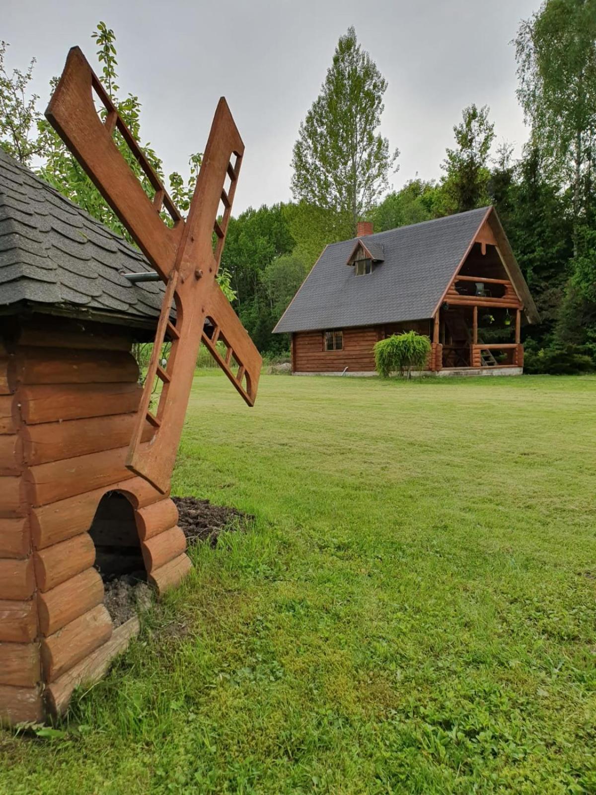 Photo 8
