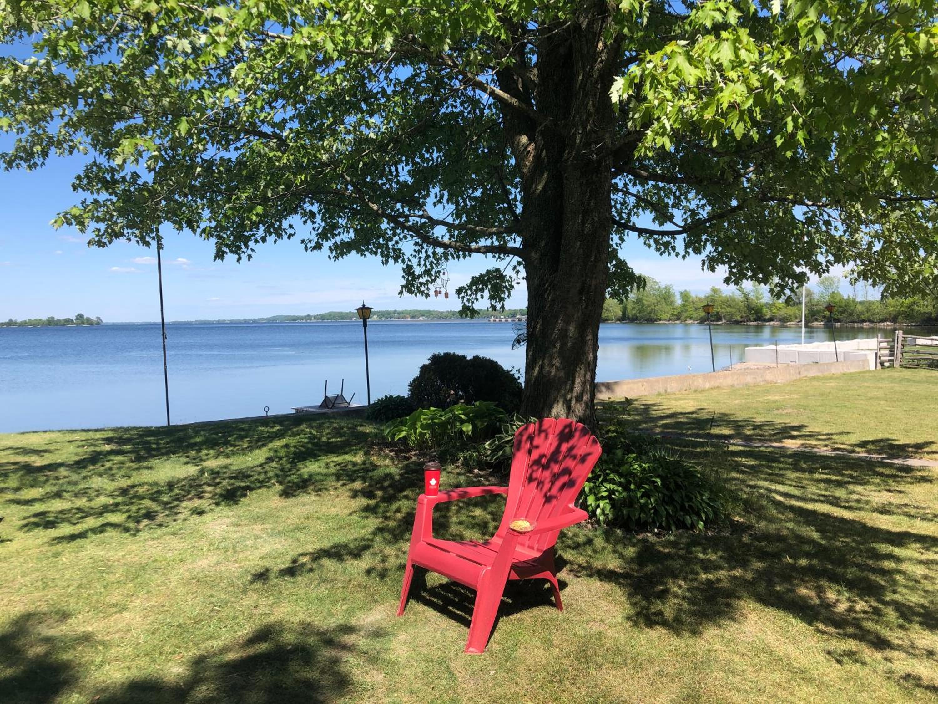 Entire waterfront cottage in carrying place