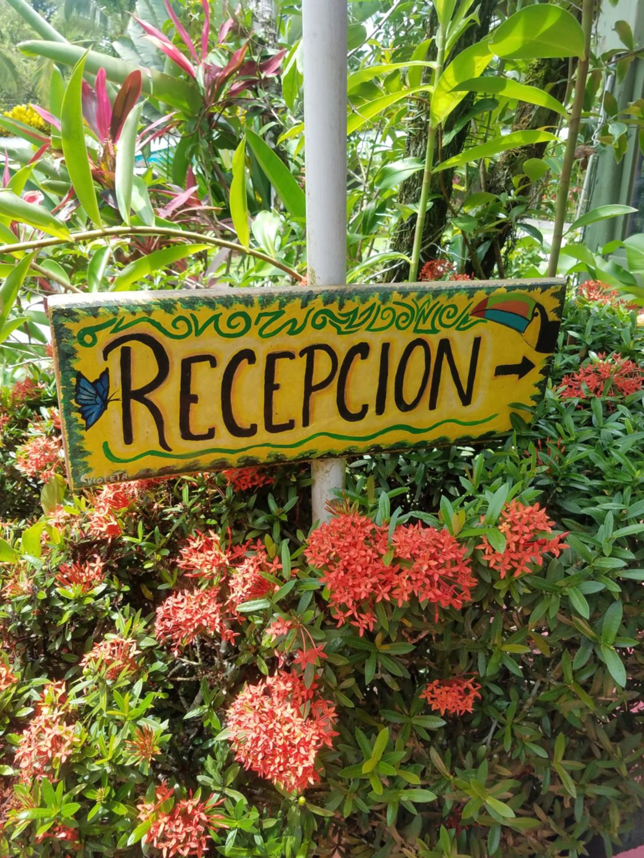 recepcion & lobby