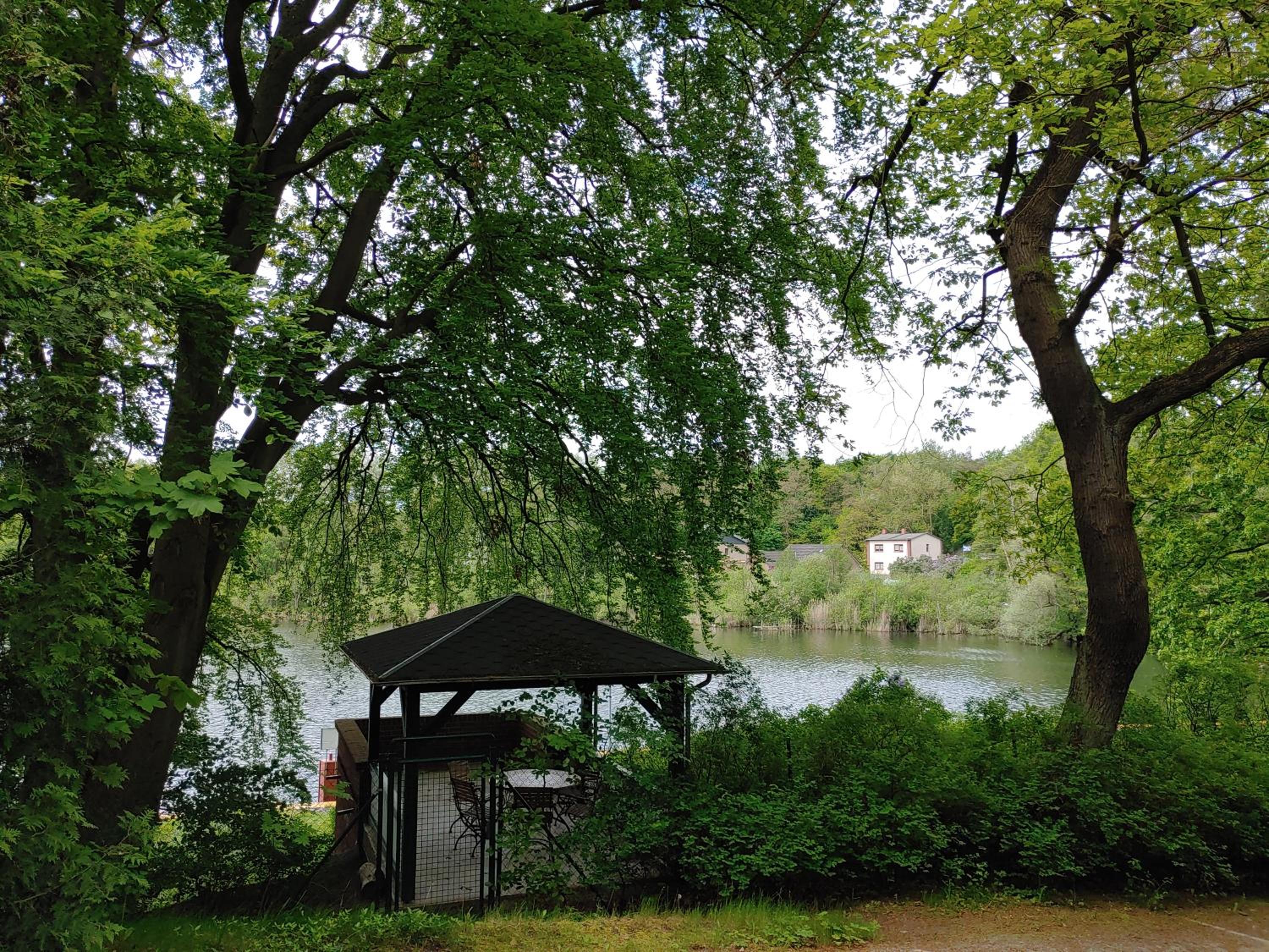 Photo 42