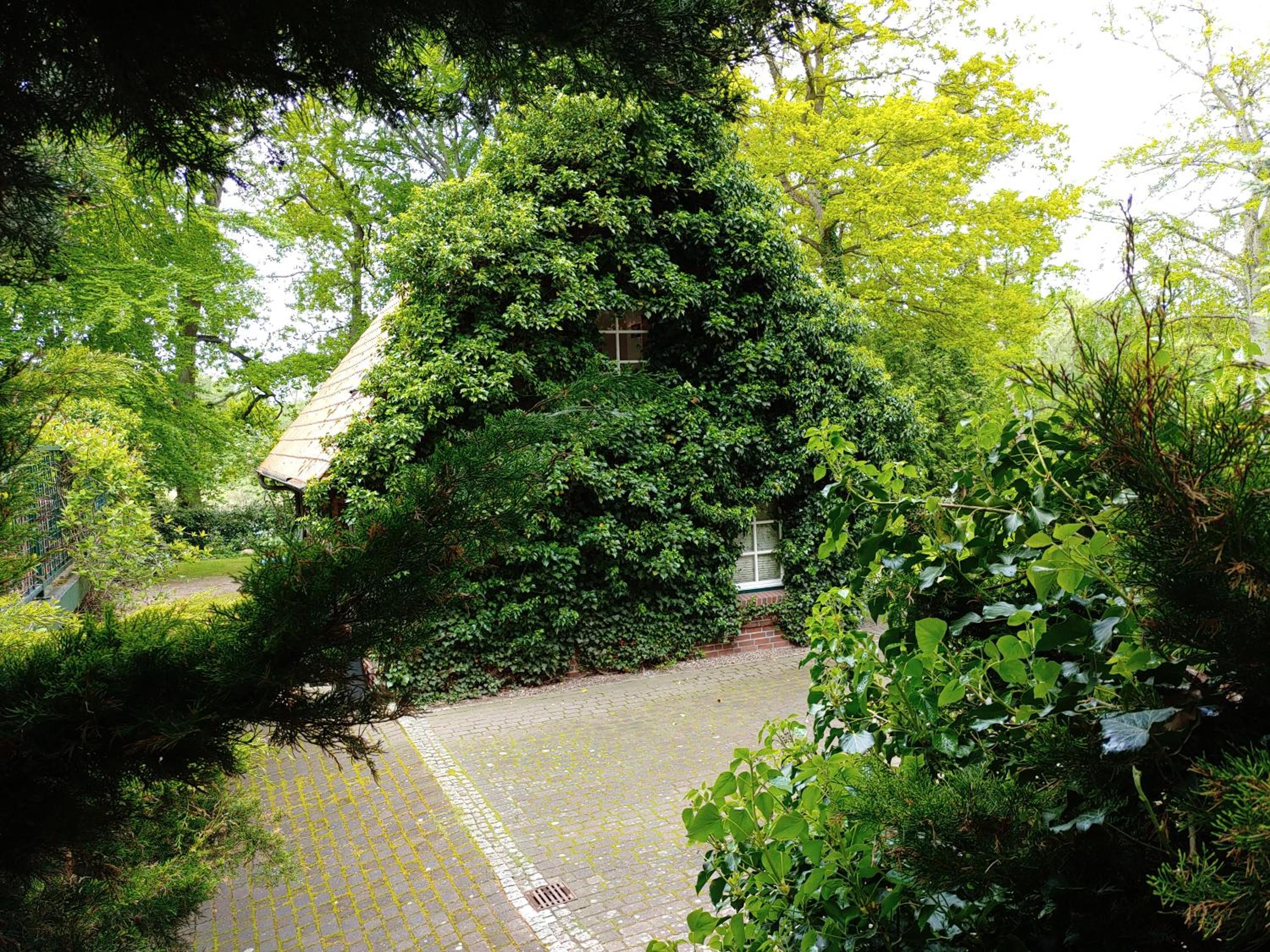 Photo 25