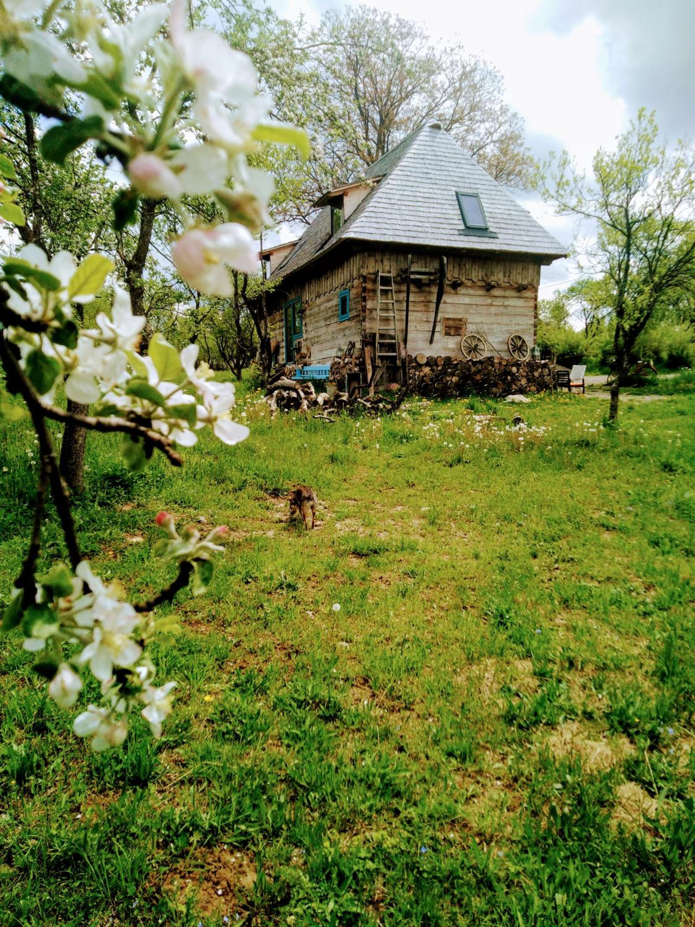 Photo 30